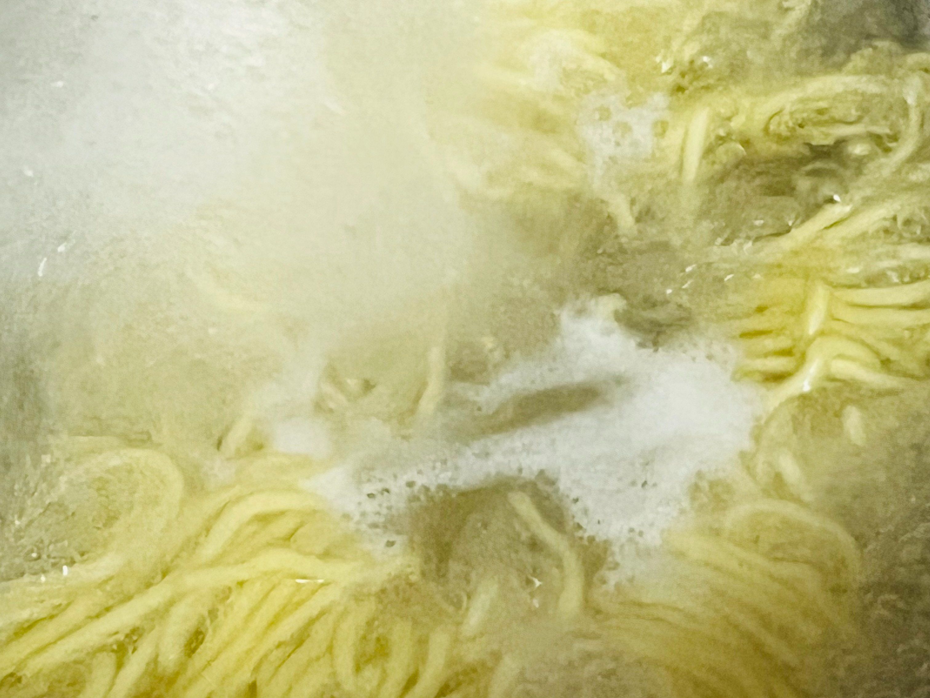 Japanese Delights Workshop: Mastering Tsukudani, Ramen and Gyoza