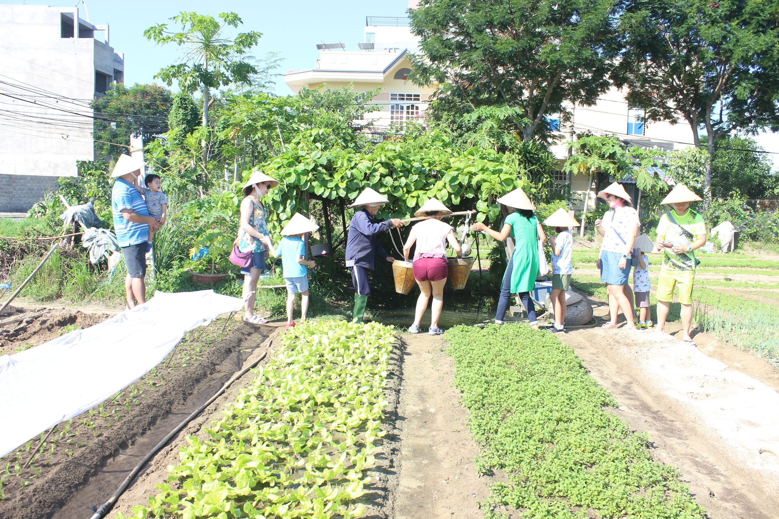 Jolie Da Nang Cooking Class with Organic Garden and Market Tour