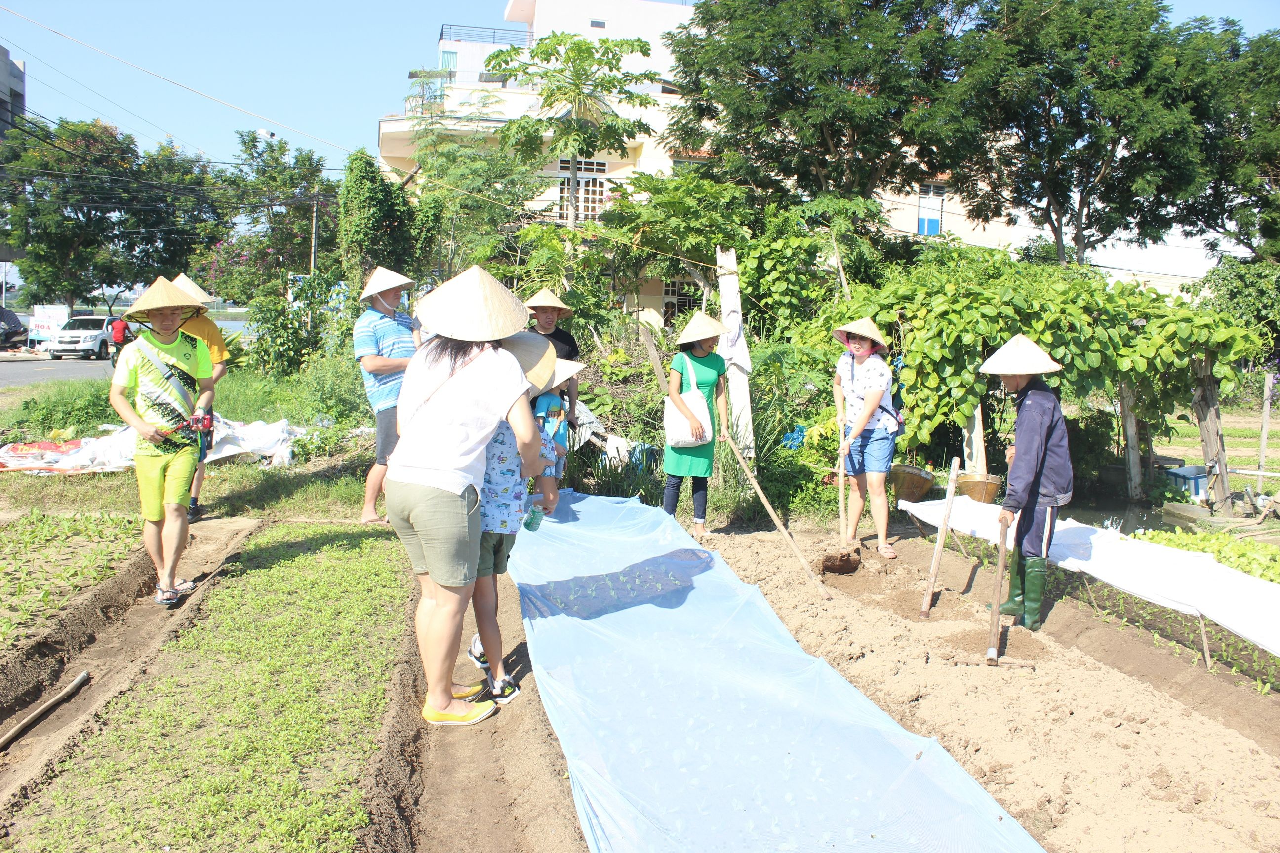 Jolie Da Nang Cooking Class with Organic Garden and Market Tour