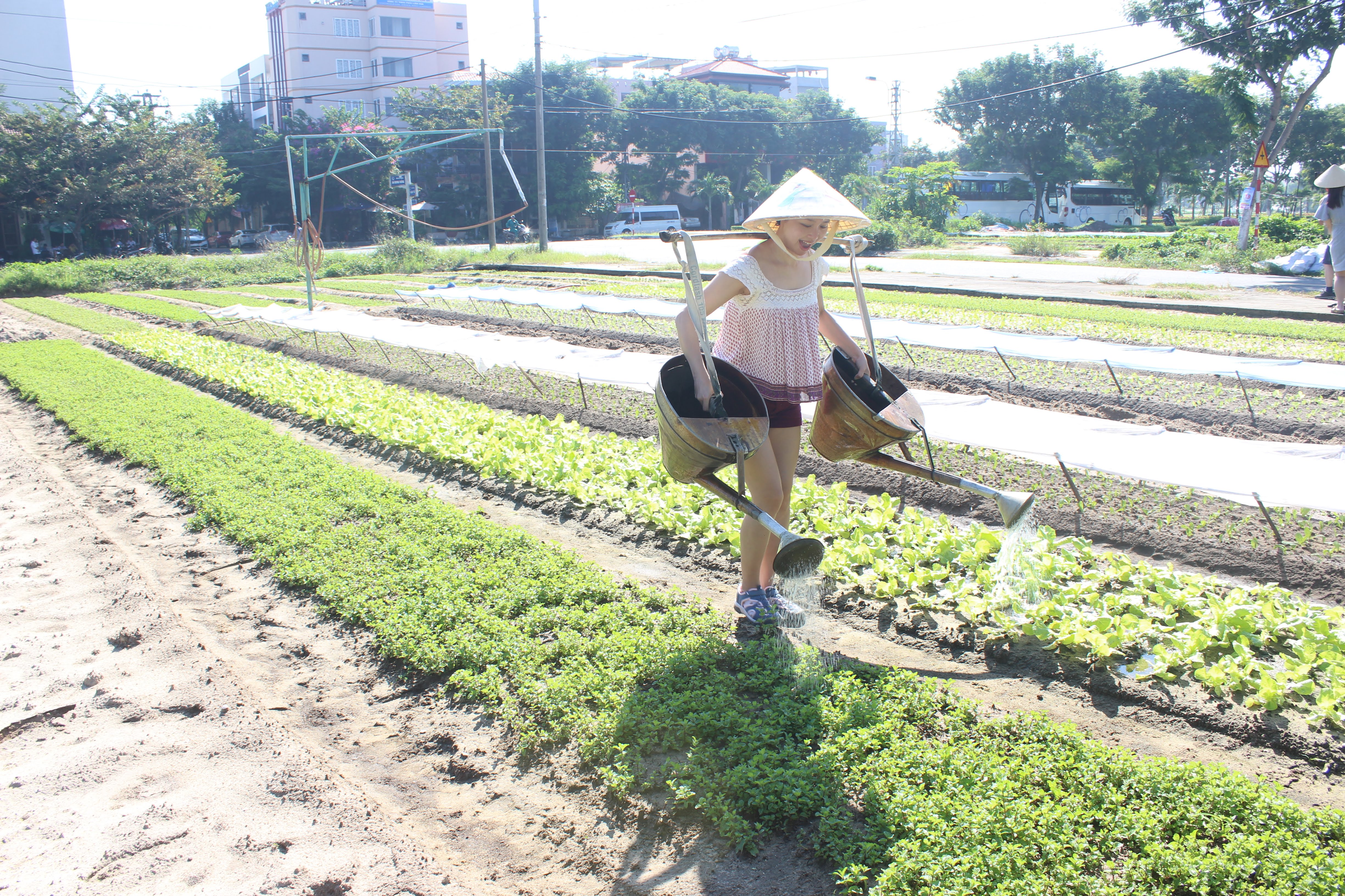 Jolie Da Nang Cooking Class with Organic Garden and Market Tour