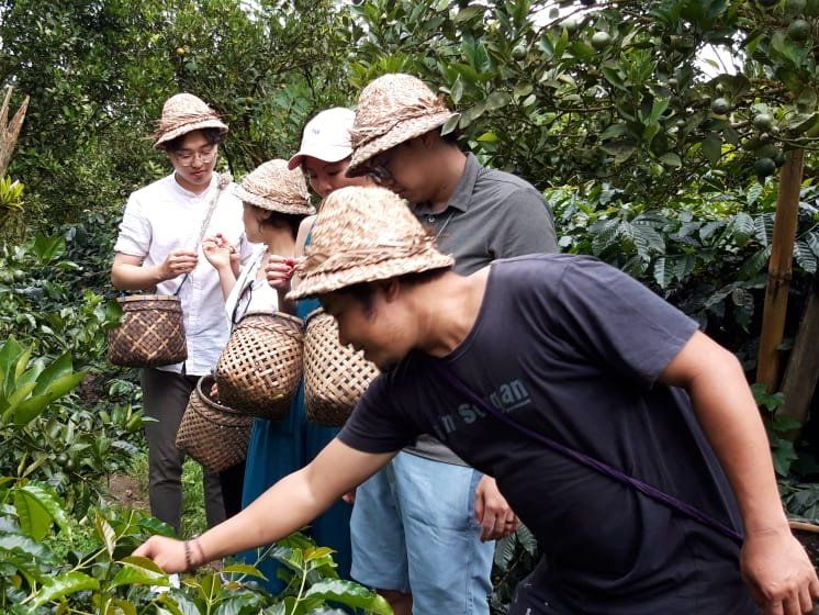 Balinese Coffee Brewing and Farm Tour with Lunch