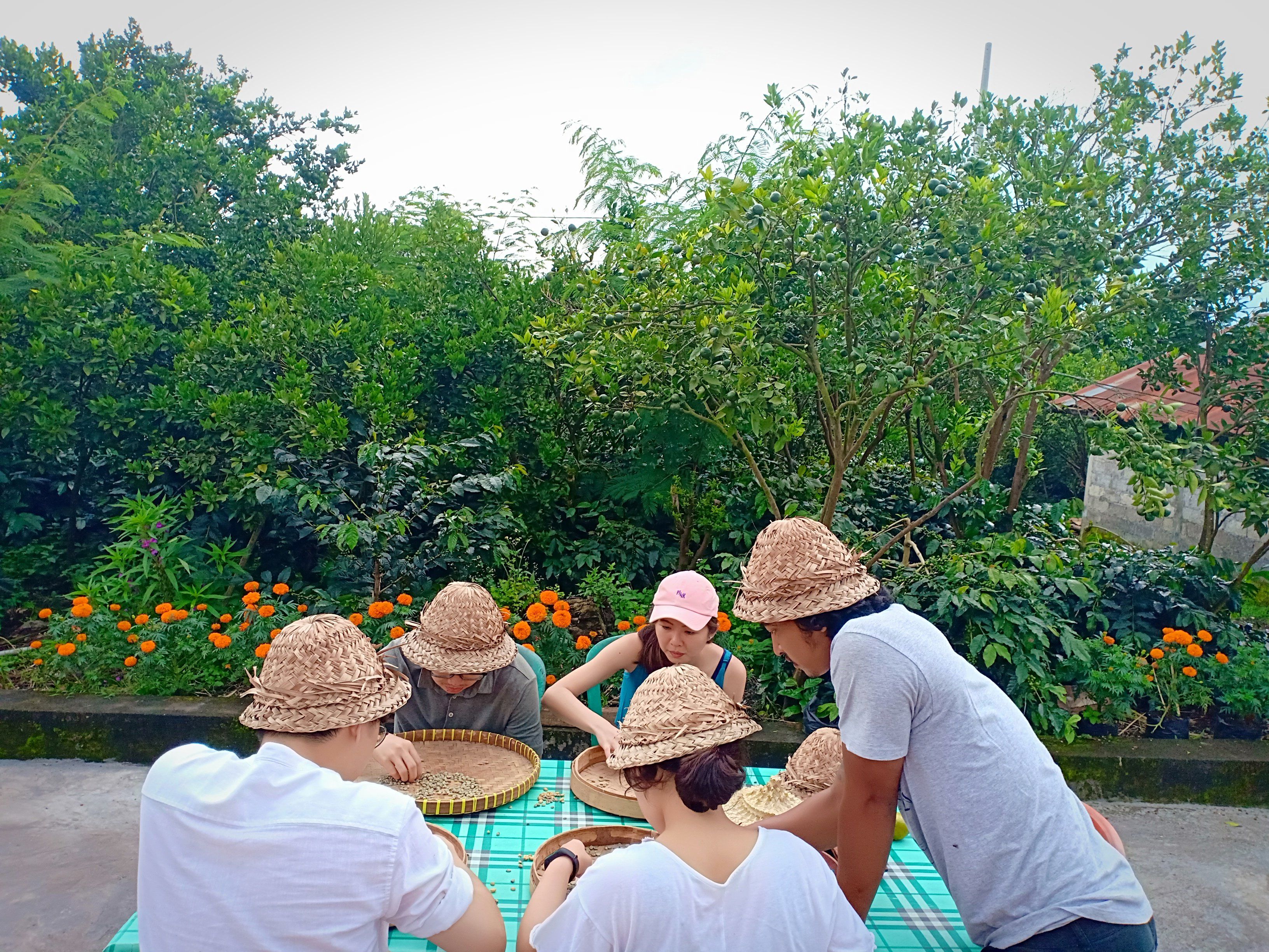 Balinese Coffee Brewing and Farm Tour with Lunch