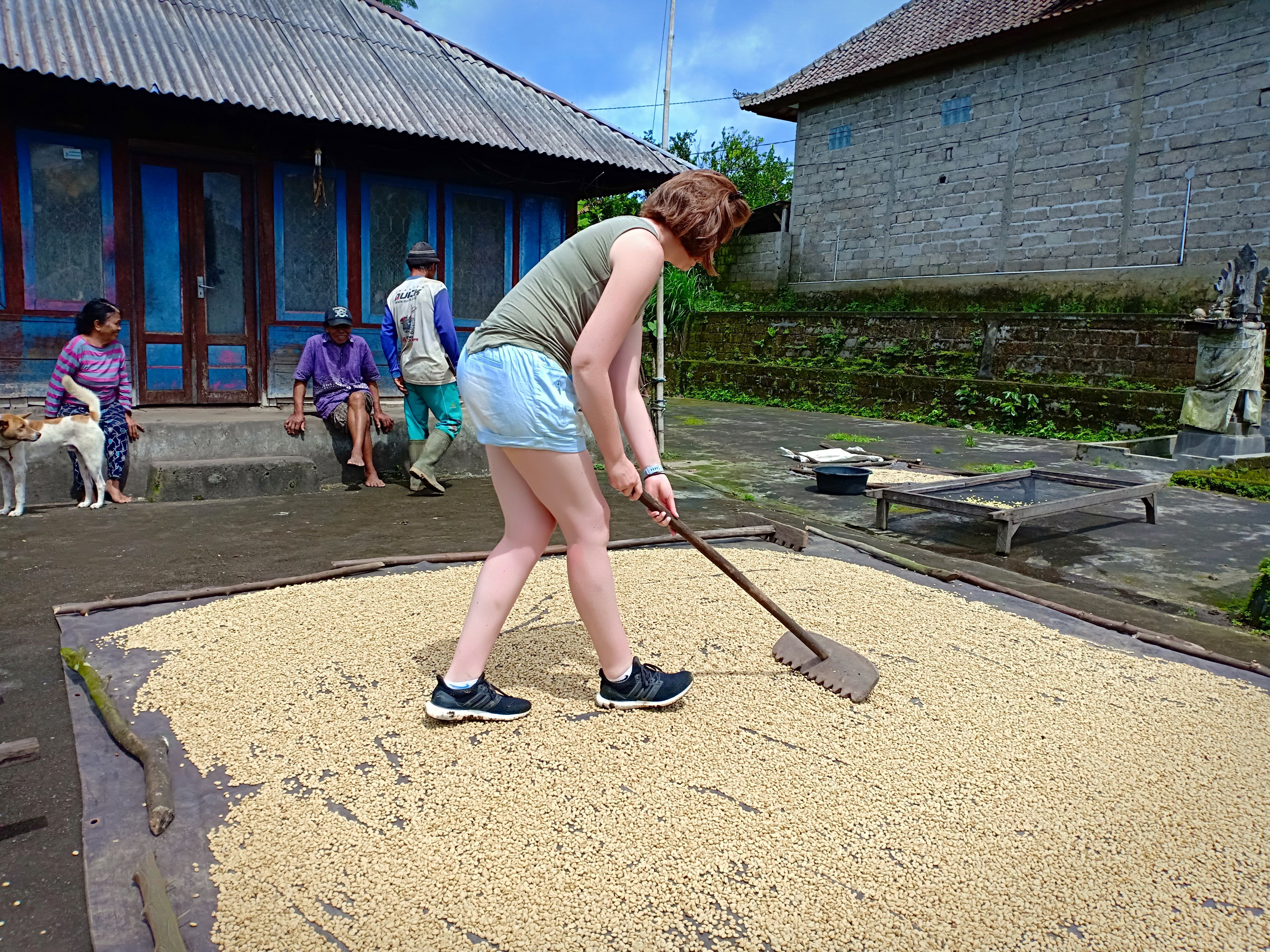 Balinese Coffee Brewing and Farm Tour with Lunch