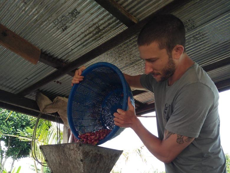 Balinese Coffee Brewing and Farm Tour with Lunch