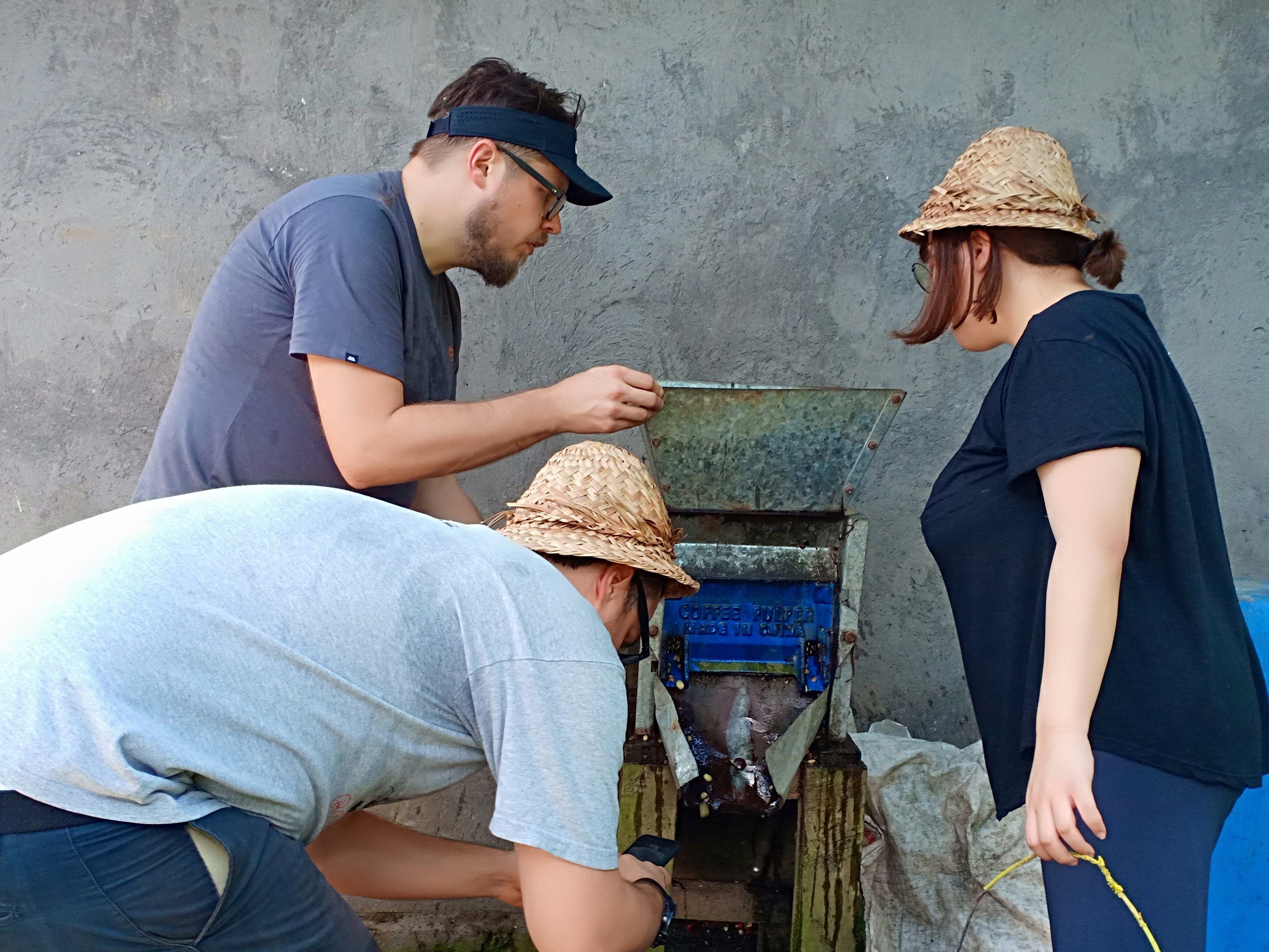 Balinese Coffee Brewing and Farm Tour with Lunch