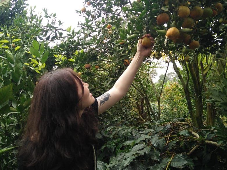 Balinese Coffee Brewing and Farm Tour with Lunch