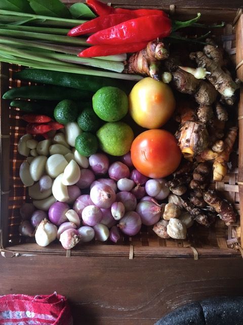 In the Jungle Pantry with Kadek