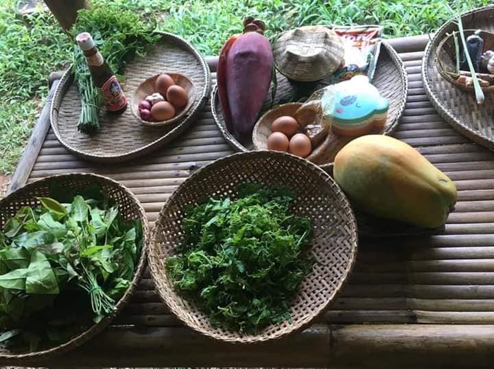 Khao Sok Jungle Cooking