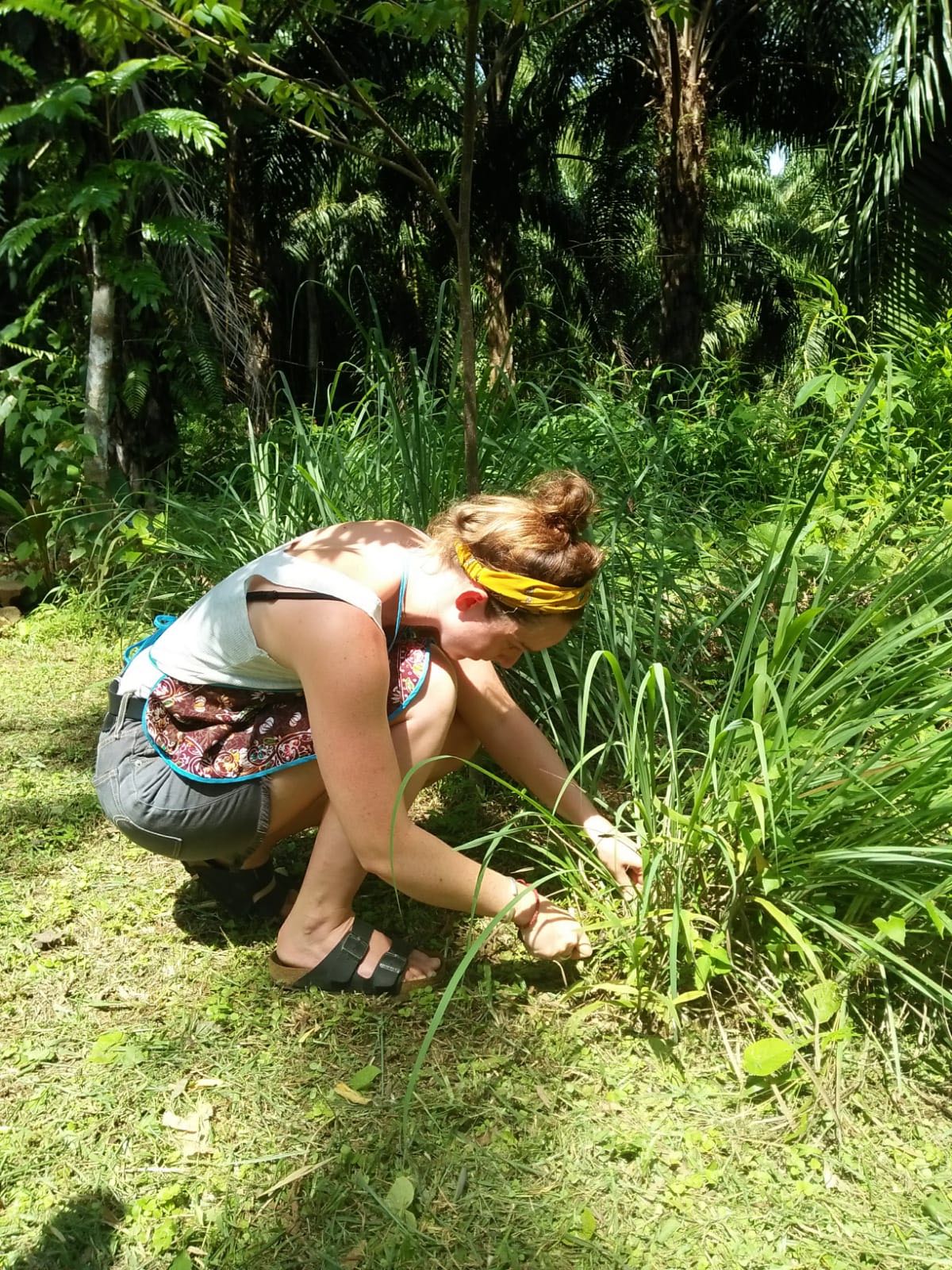 Khao Sok Jungle Cooking