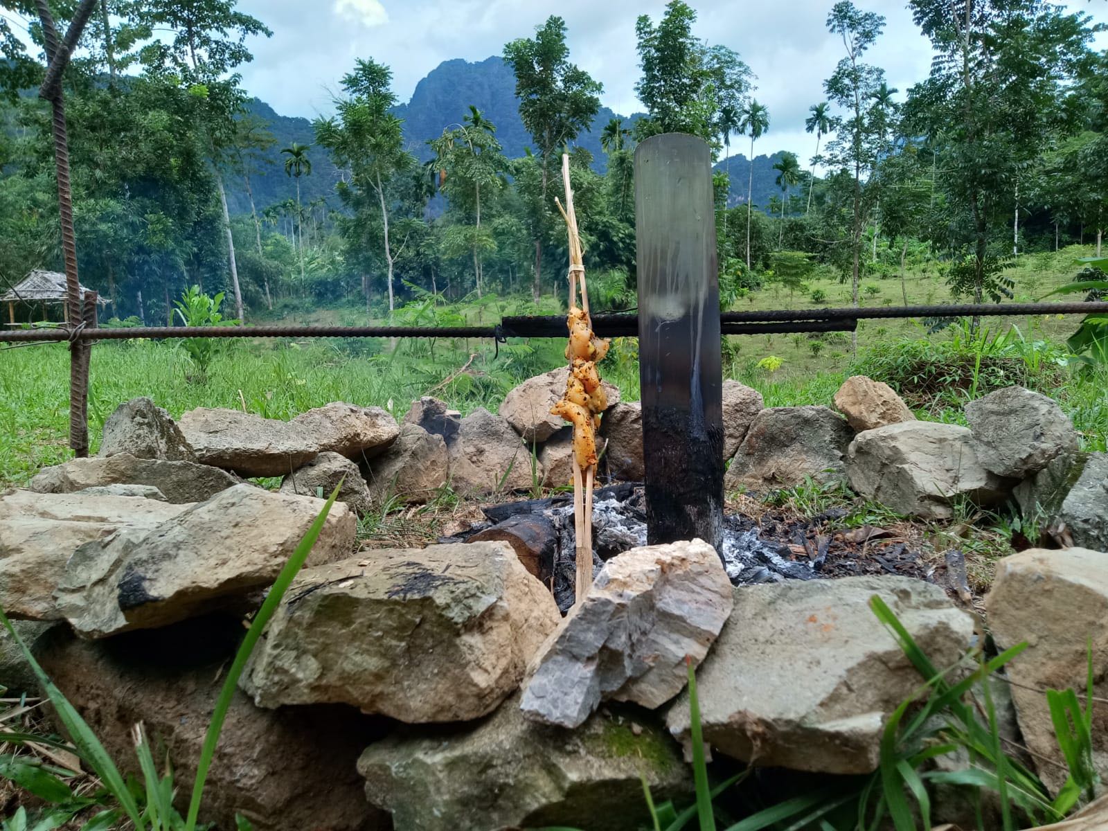 Khao Sok Jungle Cooking