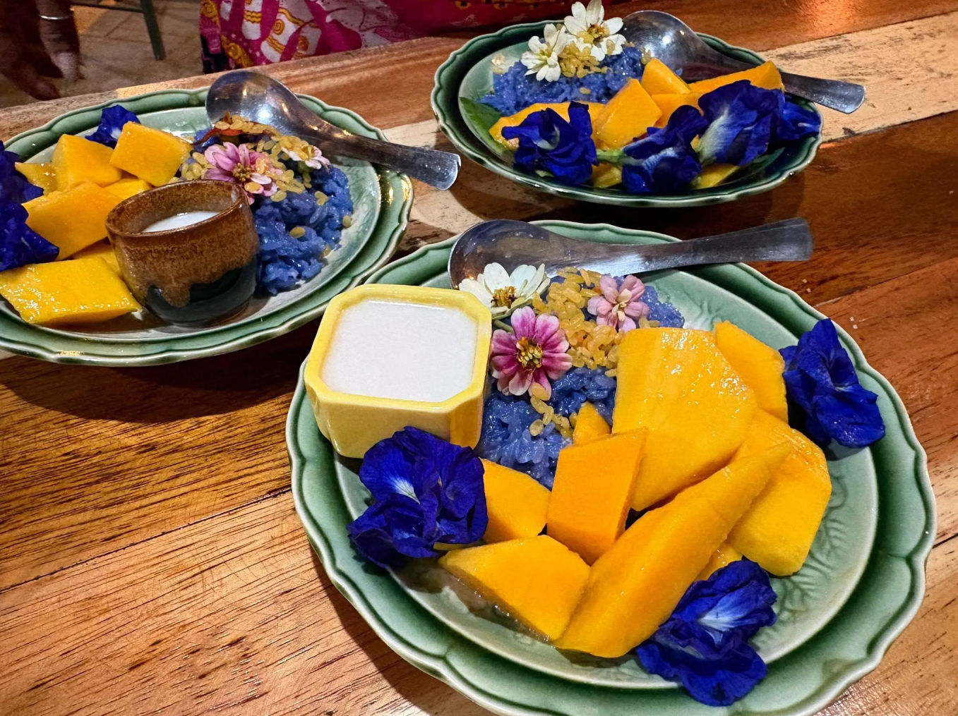 Koh Phangan Authentic Thai Cooking Experience