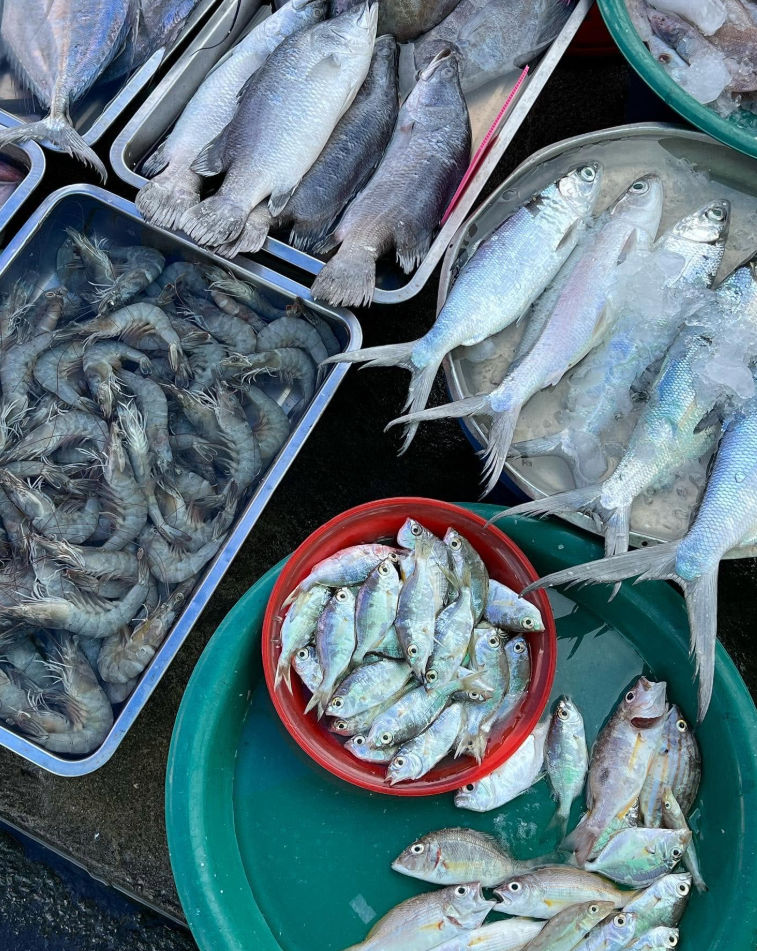 Koh Samui Traditional Thai Cooking Experience with Local Chefs
