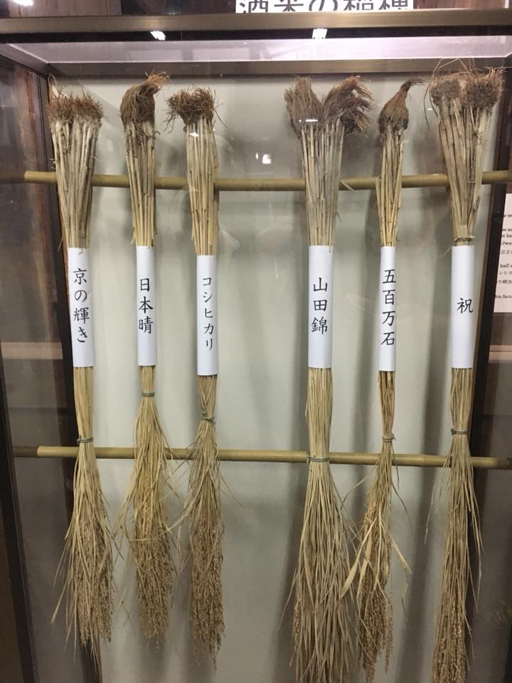 Kyoto Sake Brewery Tour with Lunch