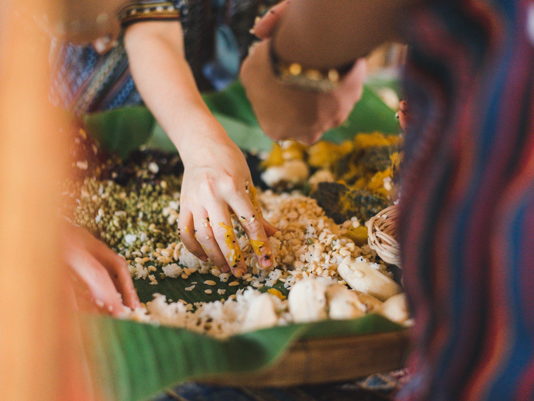Learn How to Cook Supplementary Food for the Elephants