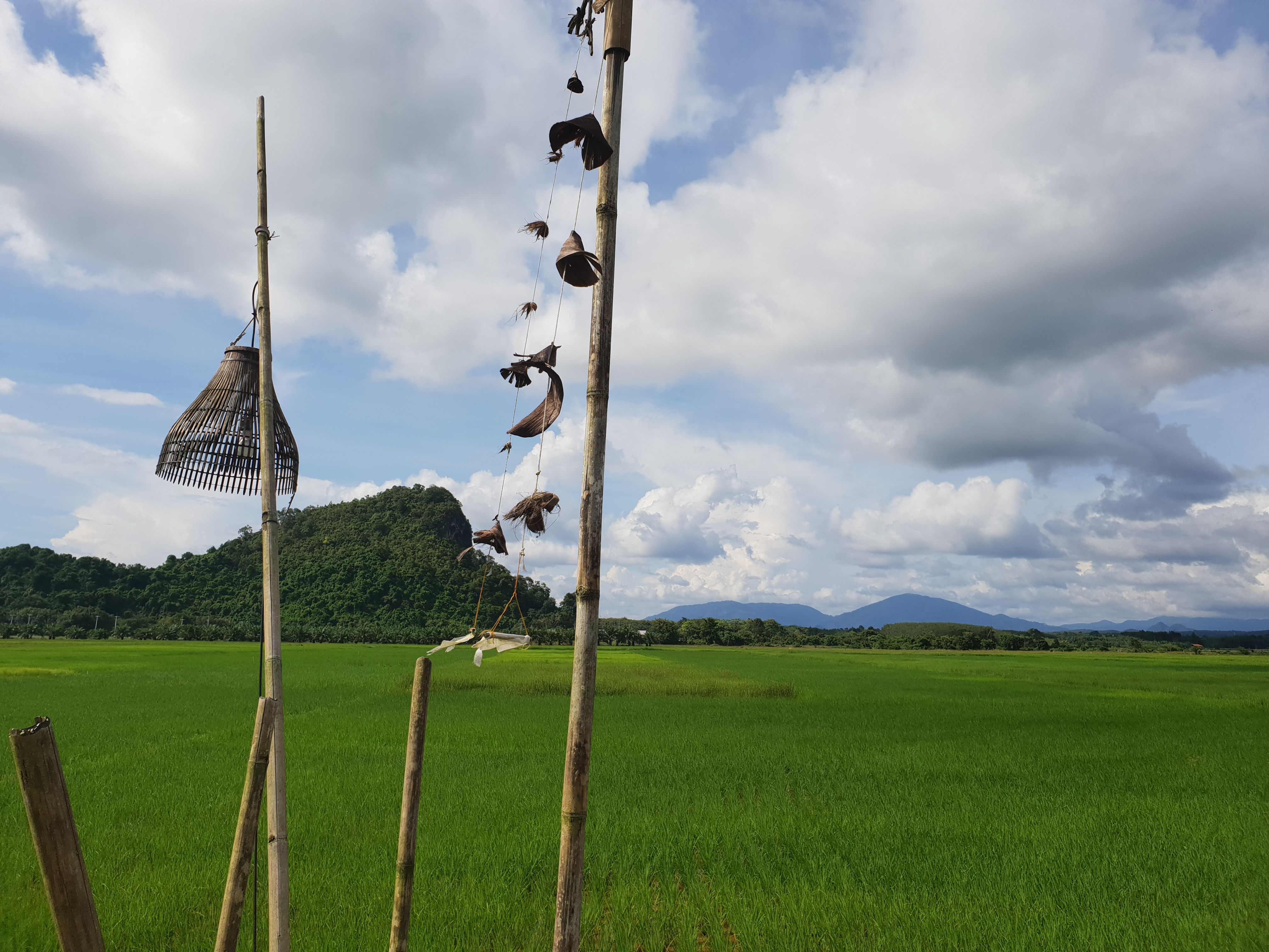 trang-cooking-school-learn-how-to-cook-thai-food-in-an-organic-farm