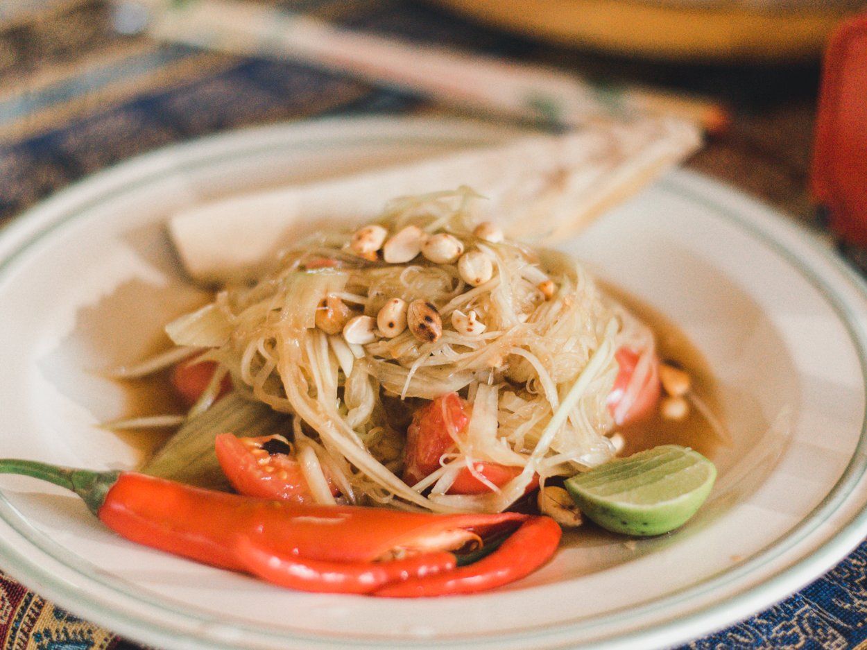 Learn How to Cook Traditional Thai Food & Feed the Elephants