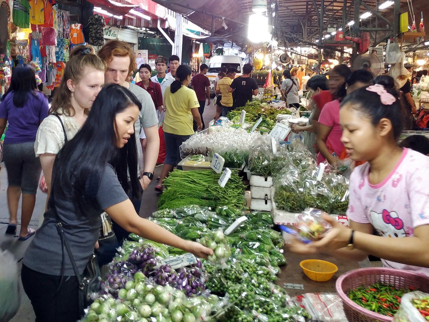 Choose Your Own Favorite Thai Dish Hands-on Authentic Thai Cooking Class with Local Market Tour