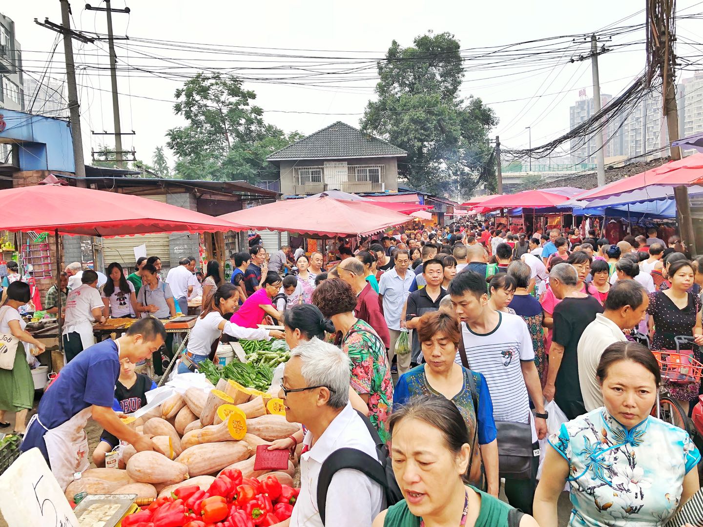 Escape to The Farm Market with Local Food