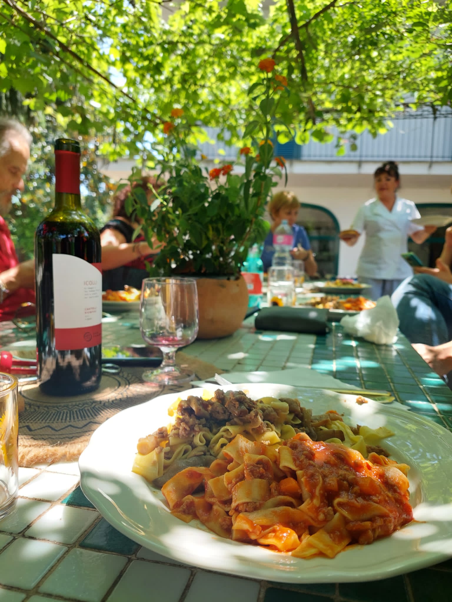 Master Homemade Pasta & Tiramisu: Wine & Lunch Escape in Roman Countryside