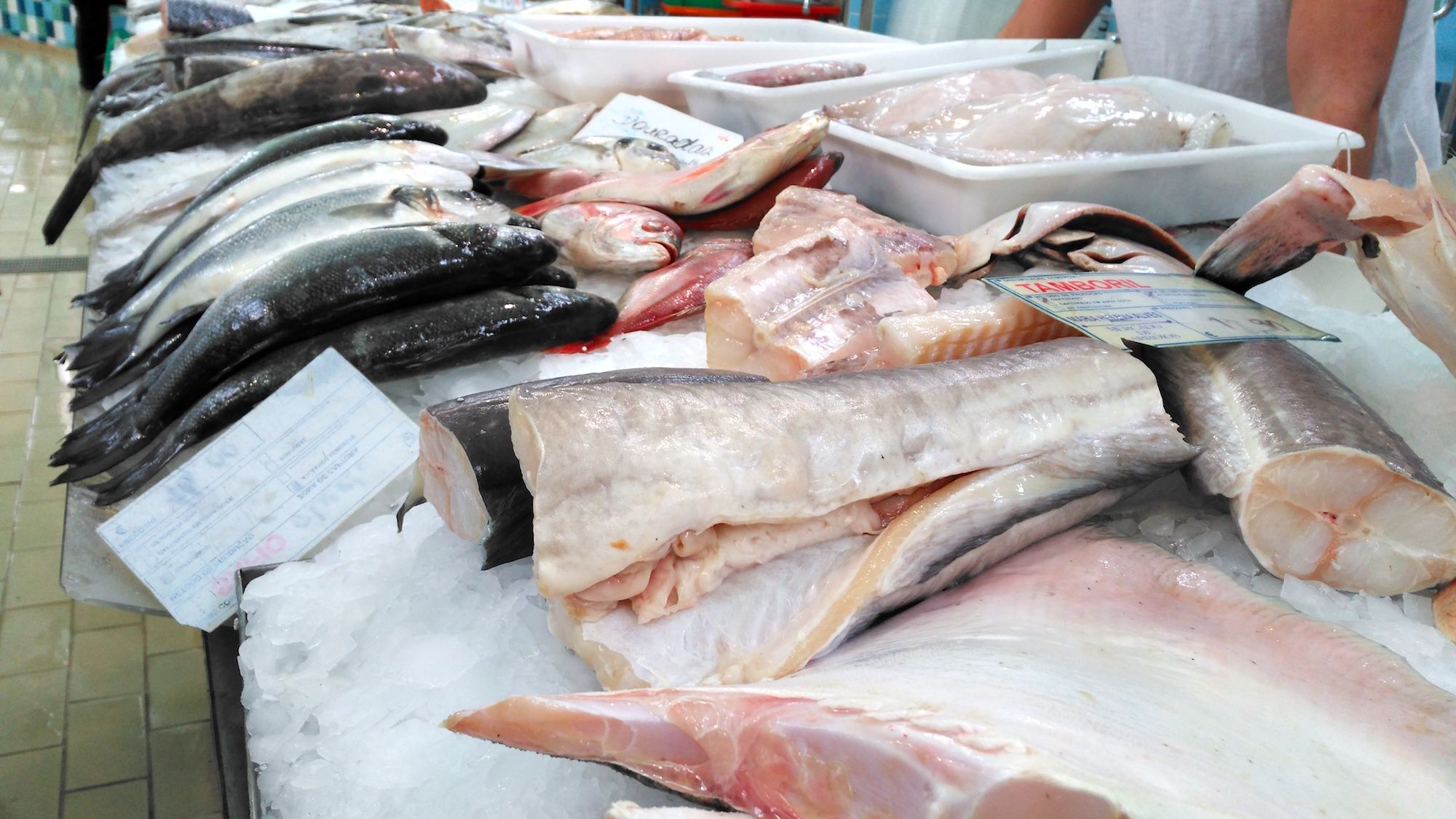 Portuguese Cooking Class with Lisbon Market Tour