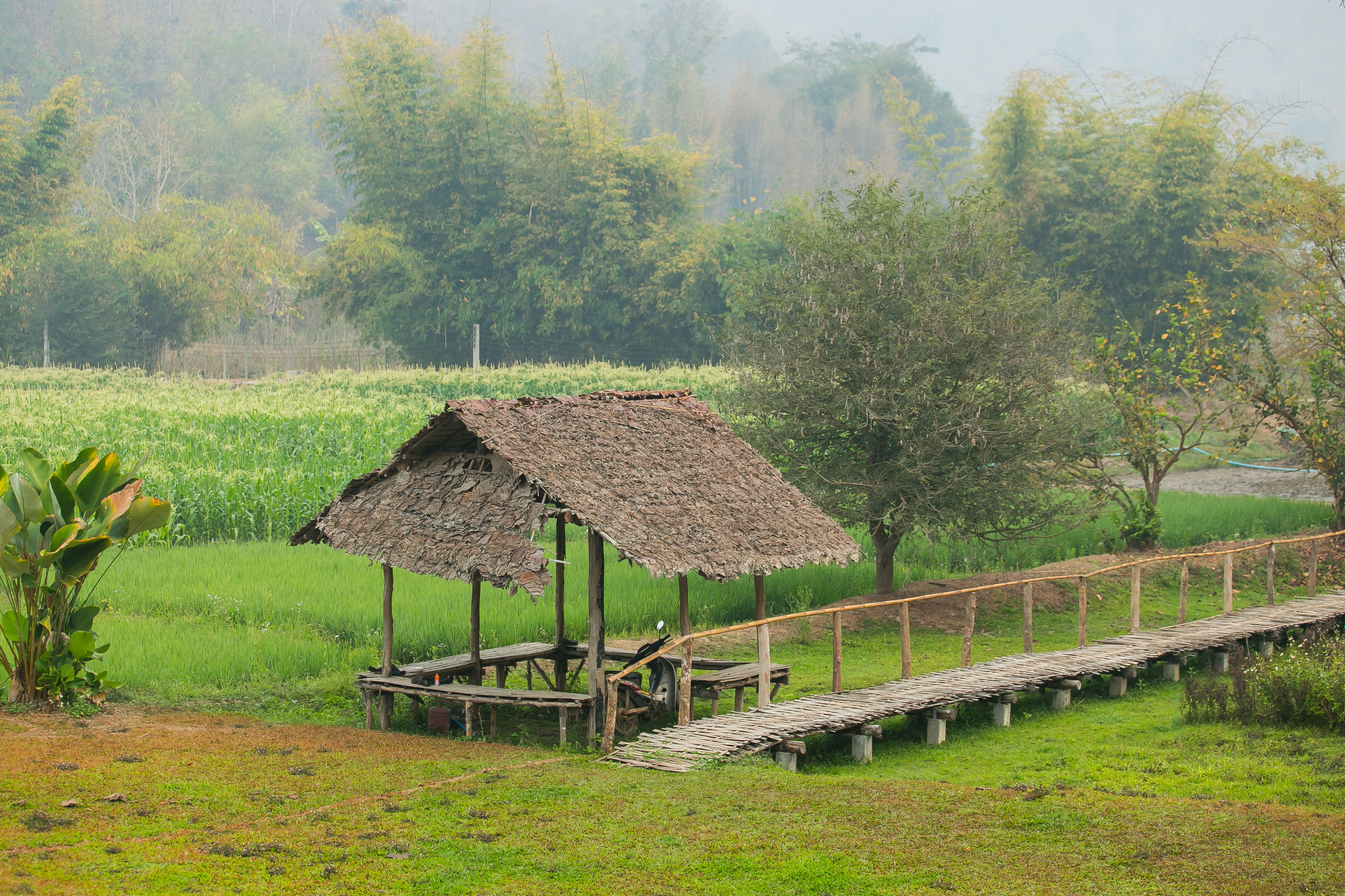 Full Day Cooking Trip with A Northern Hill Tribe