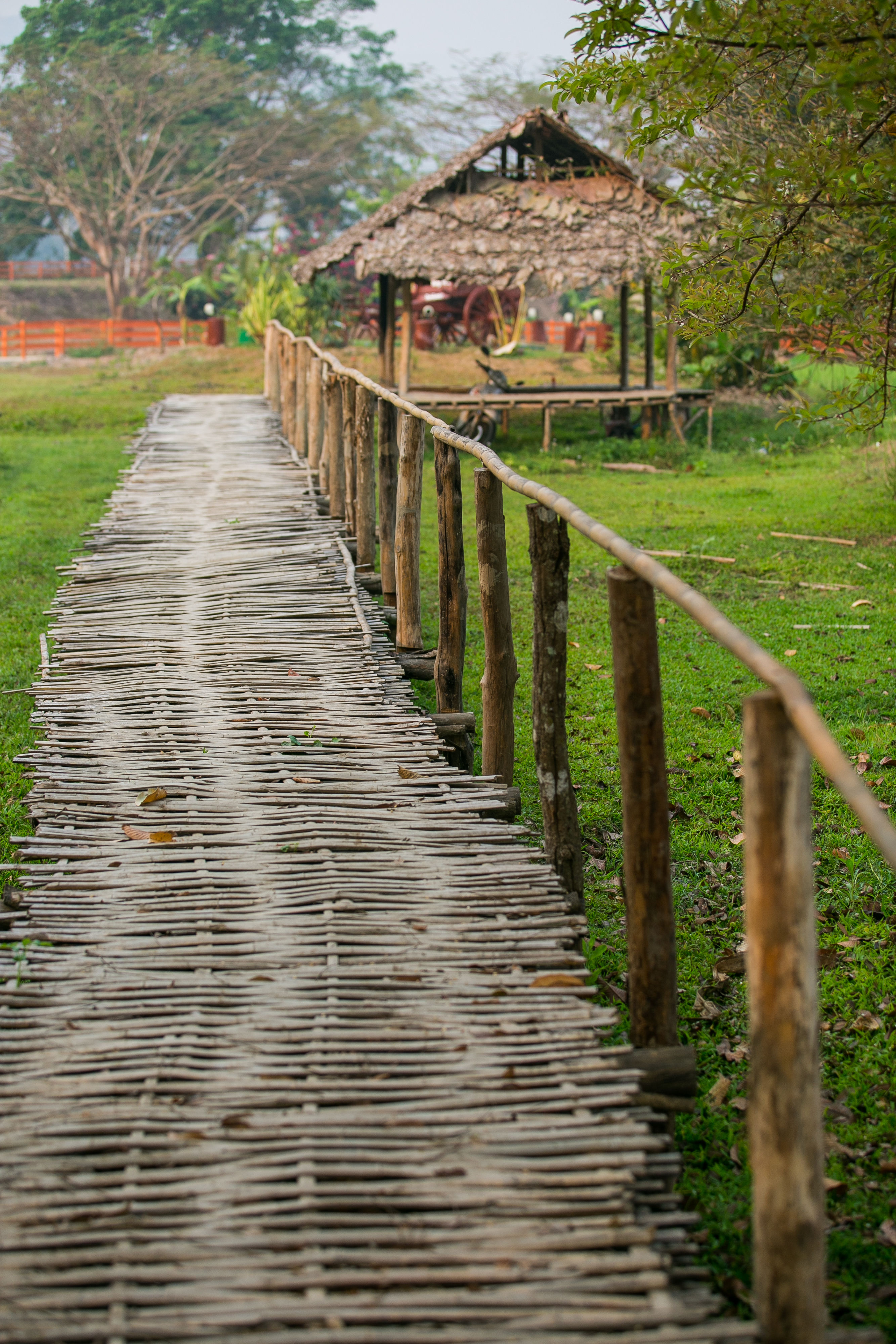 Full Day Cooking Trip with A Northern Hill Tribe