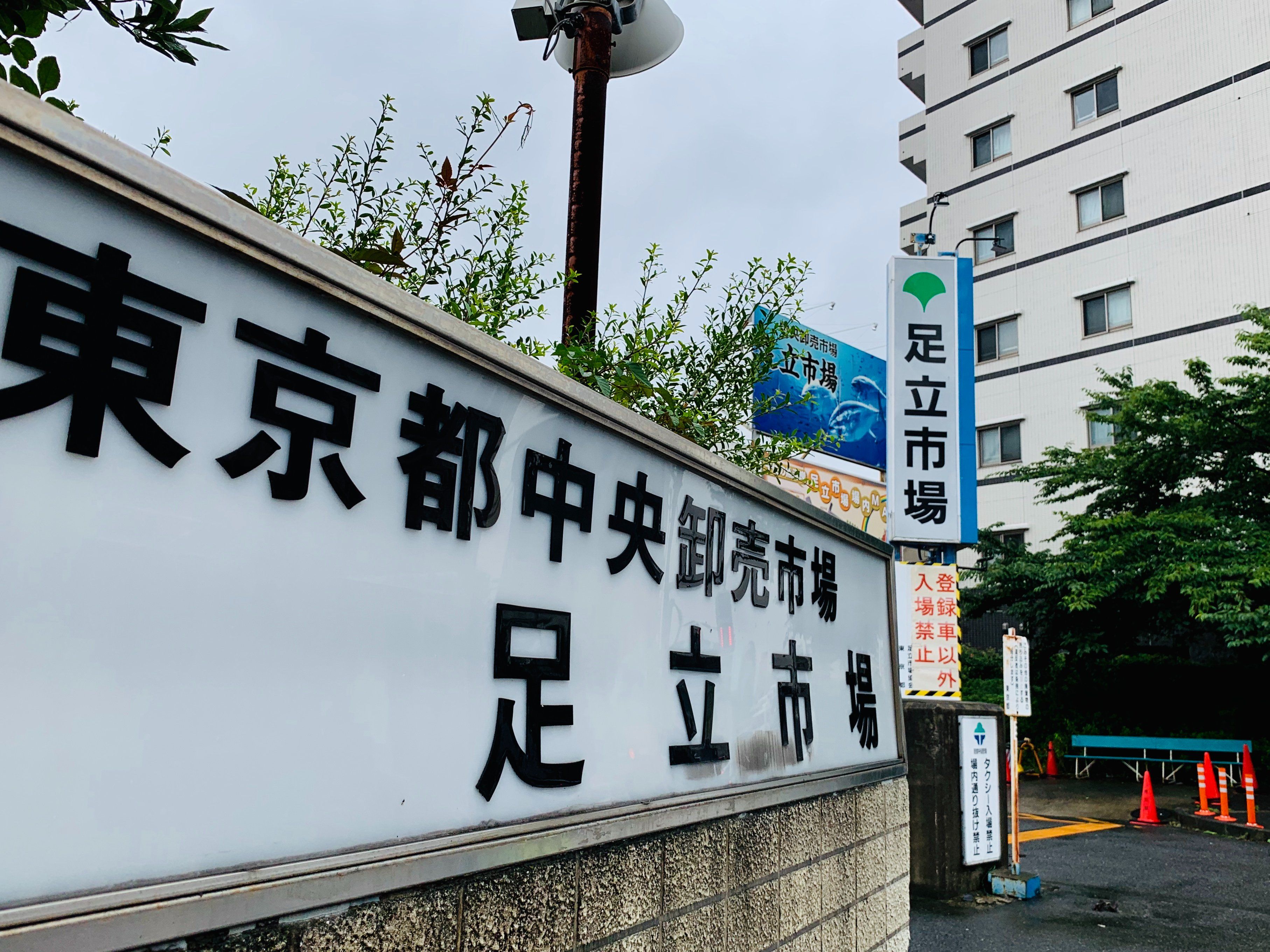 Tokyo Fish Market Tour + Craft Japanese Nigiri Sushi