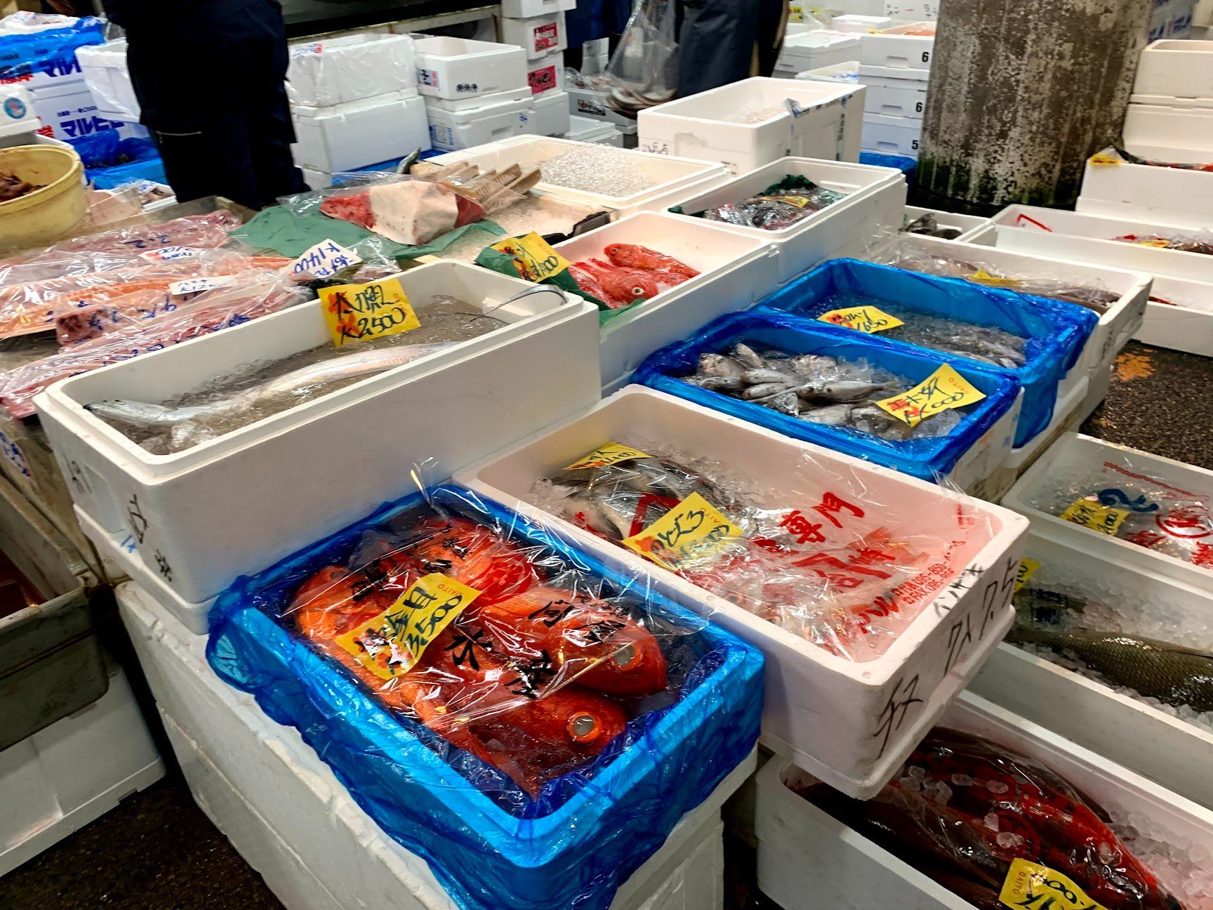 Tokyo Fish Market Tour + Craft Japanese Nigiri Sushi