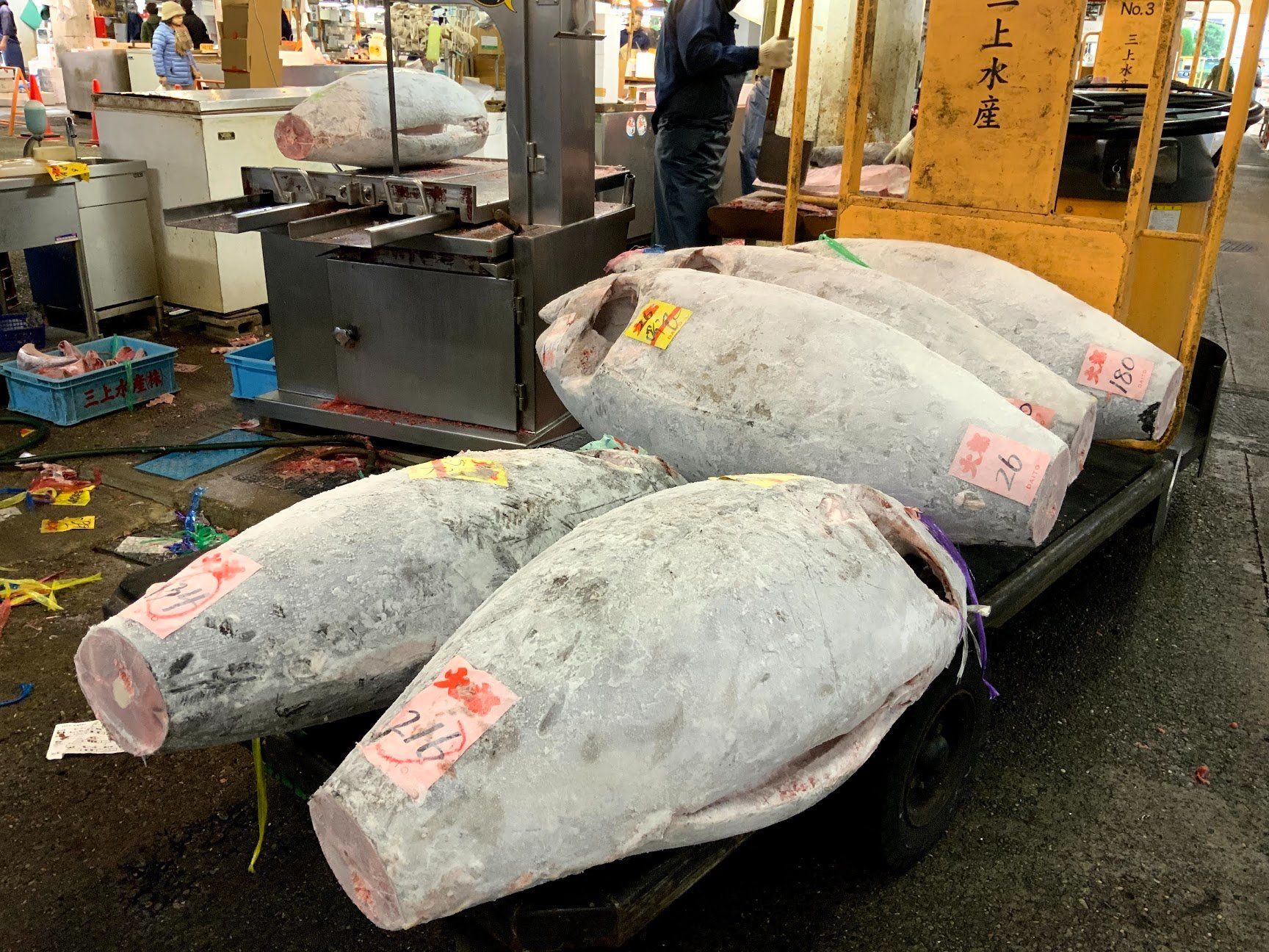 Tokyo Fish Market Tour + Craft Japanese Nigiri Sushi