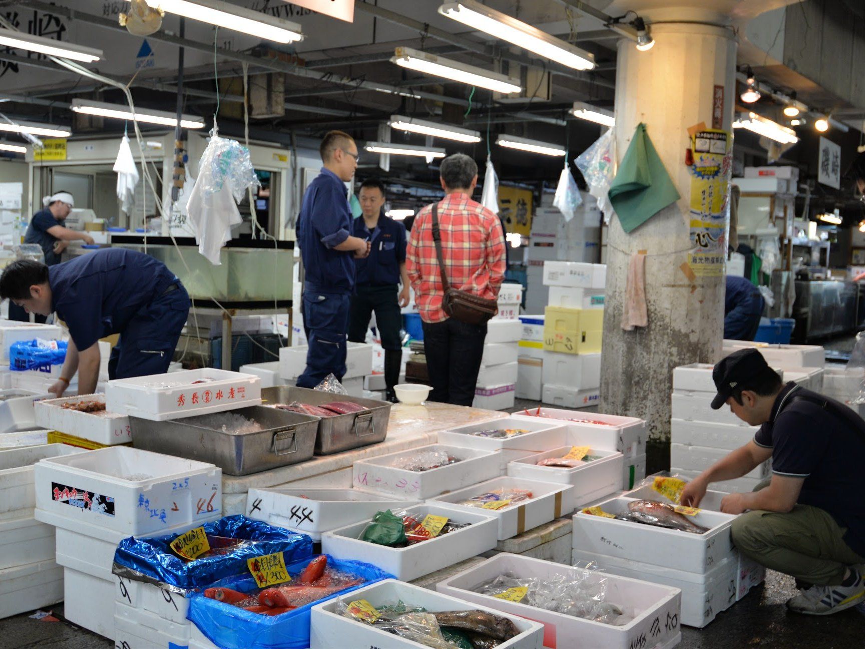 Tokyo Fish Market Tour + Craft Japanese Nigiri Sushi