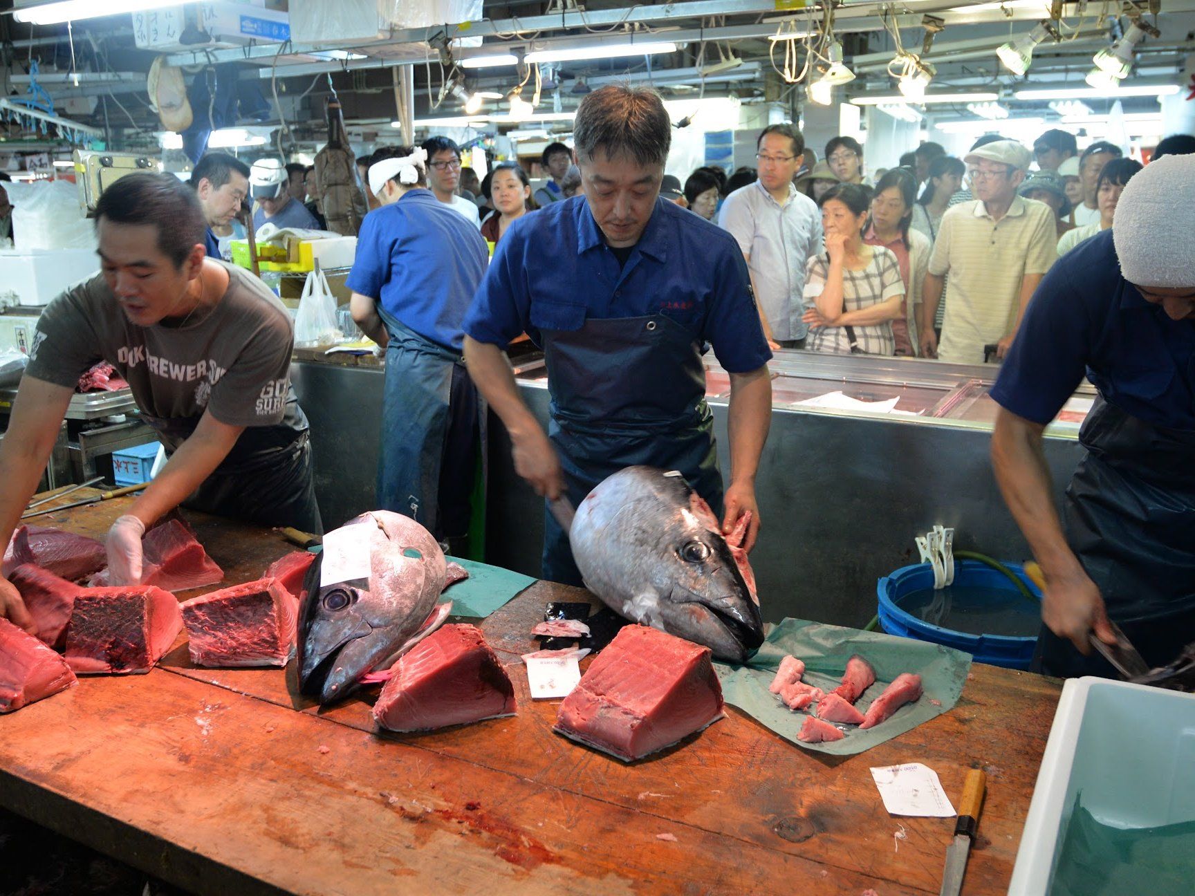 Tokyo Fish Market Tour + Craft Japanese Nigiri Sushi