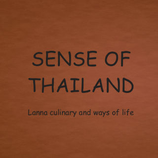 Sense of Thailand logo