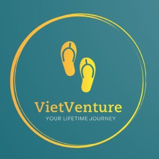 Vietventure logo