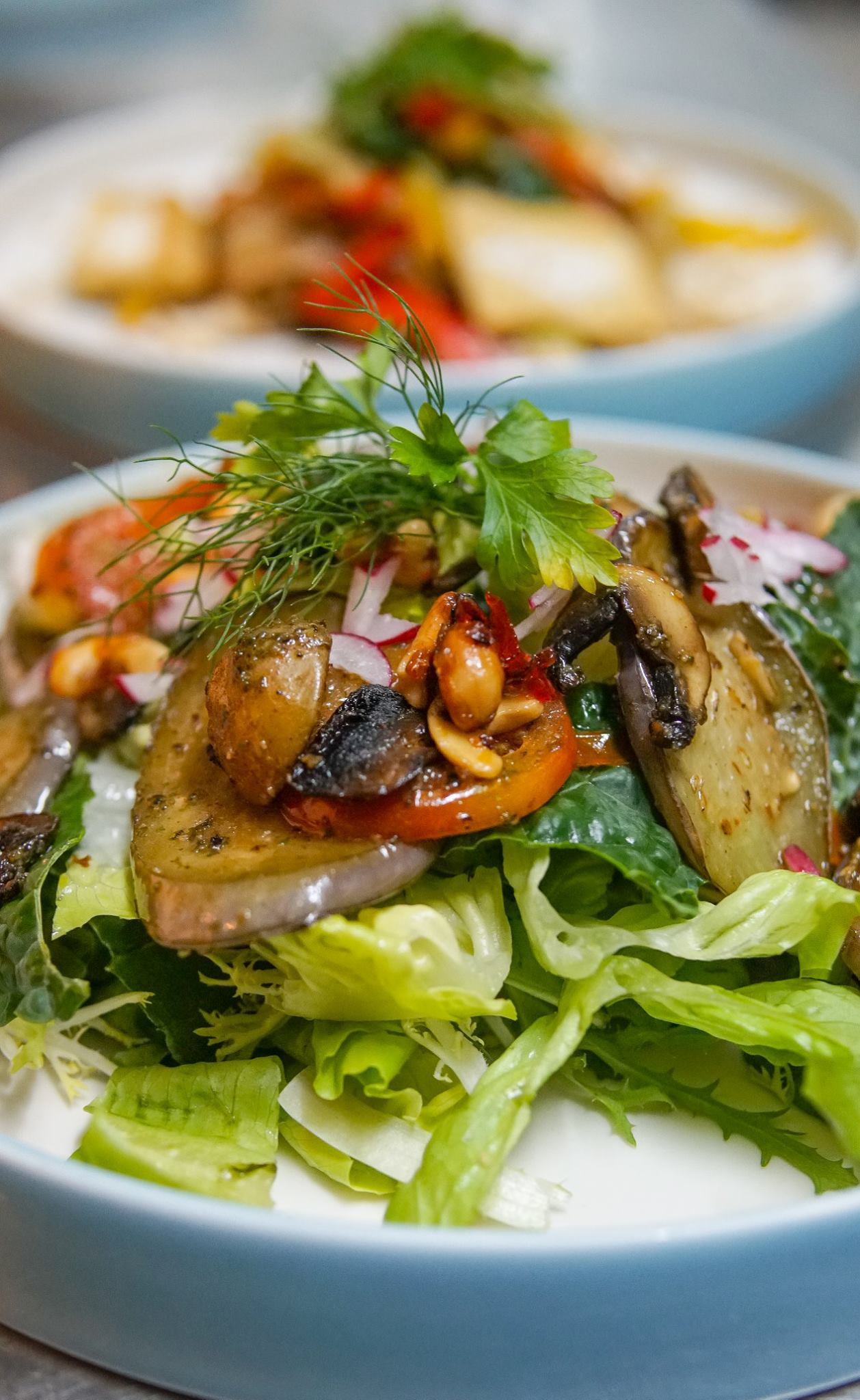 Majestic Plant-based Cooking Class at the Herb Library Ubud