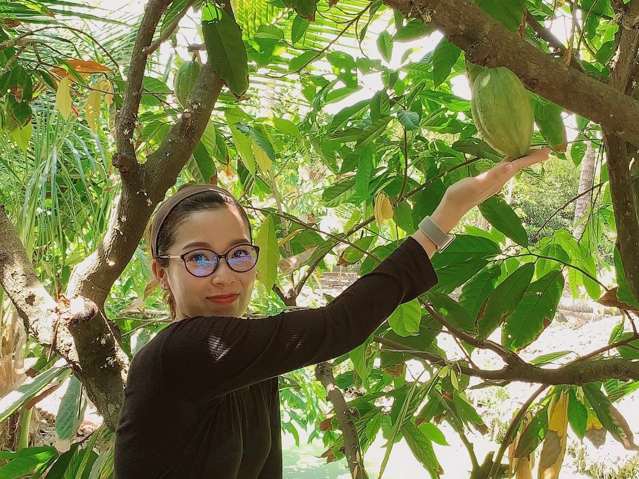 Make Chocolate at a Mekong Cocoa Farm