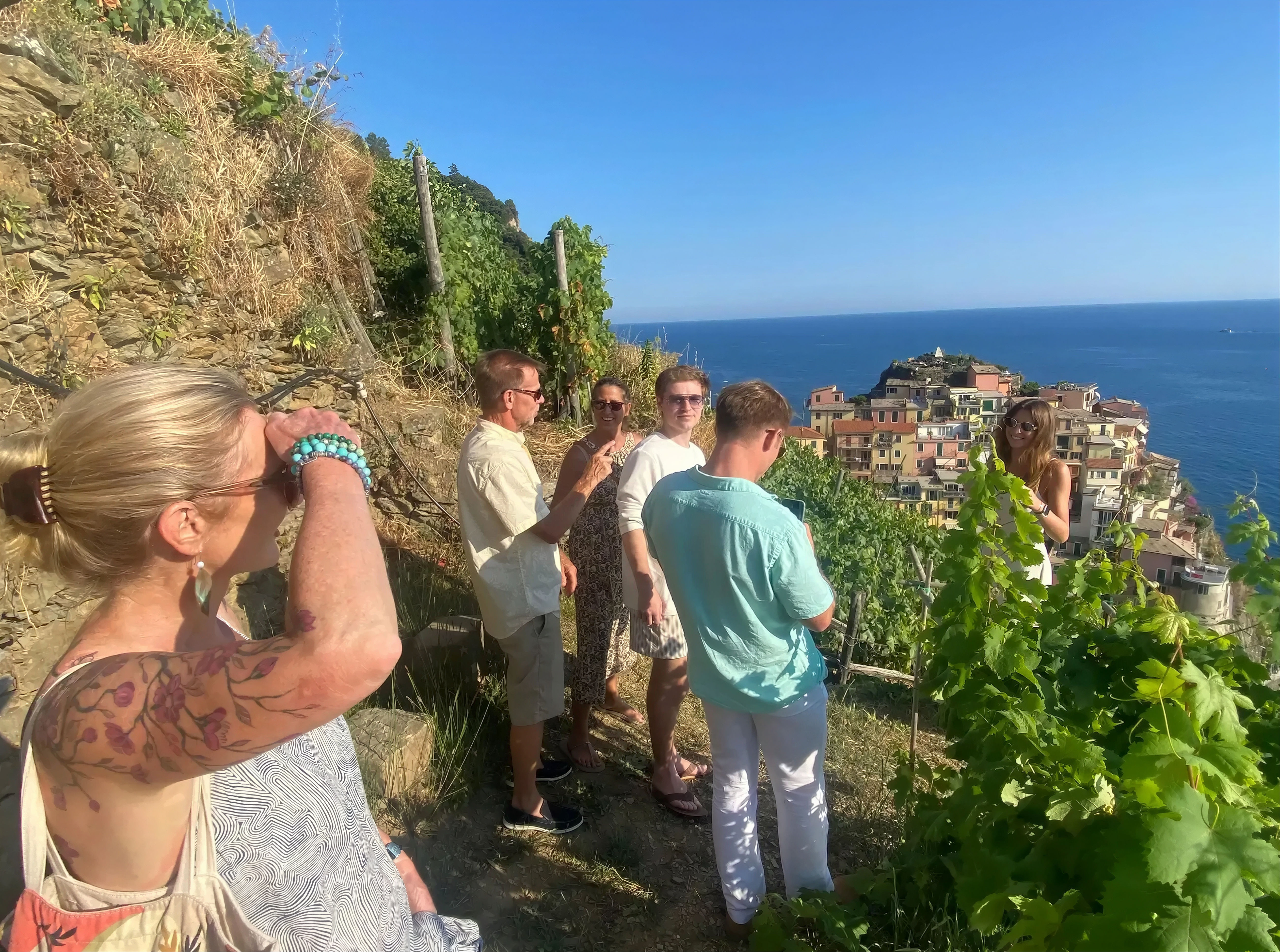 Manarola Vineyard Experience: Wine Tasting & Scenic Views
