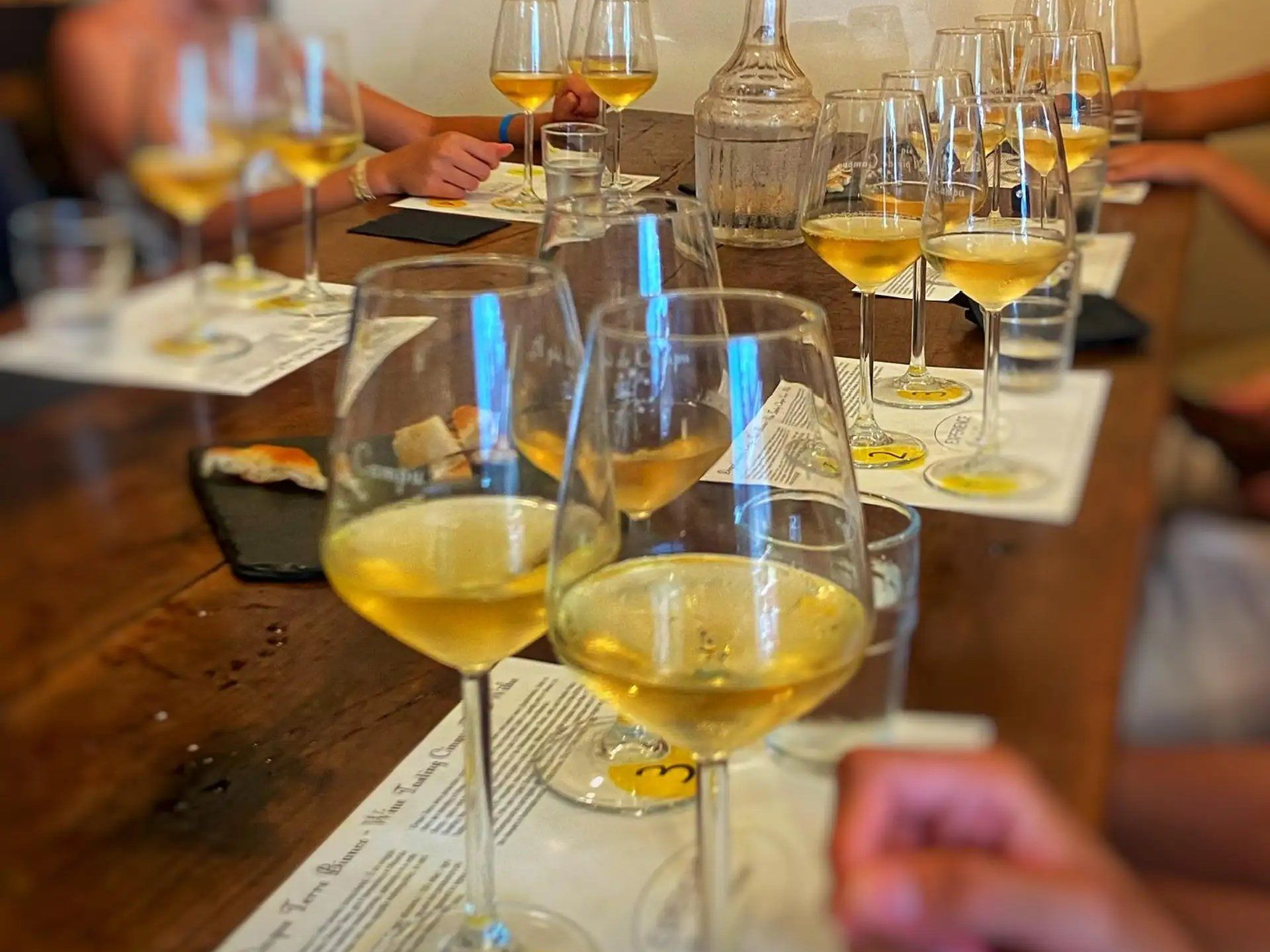 Manarola Vineyard Experience: Wine Tasting & Scenic Views