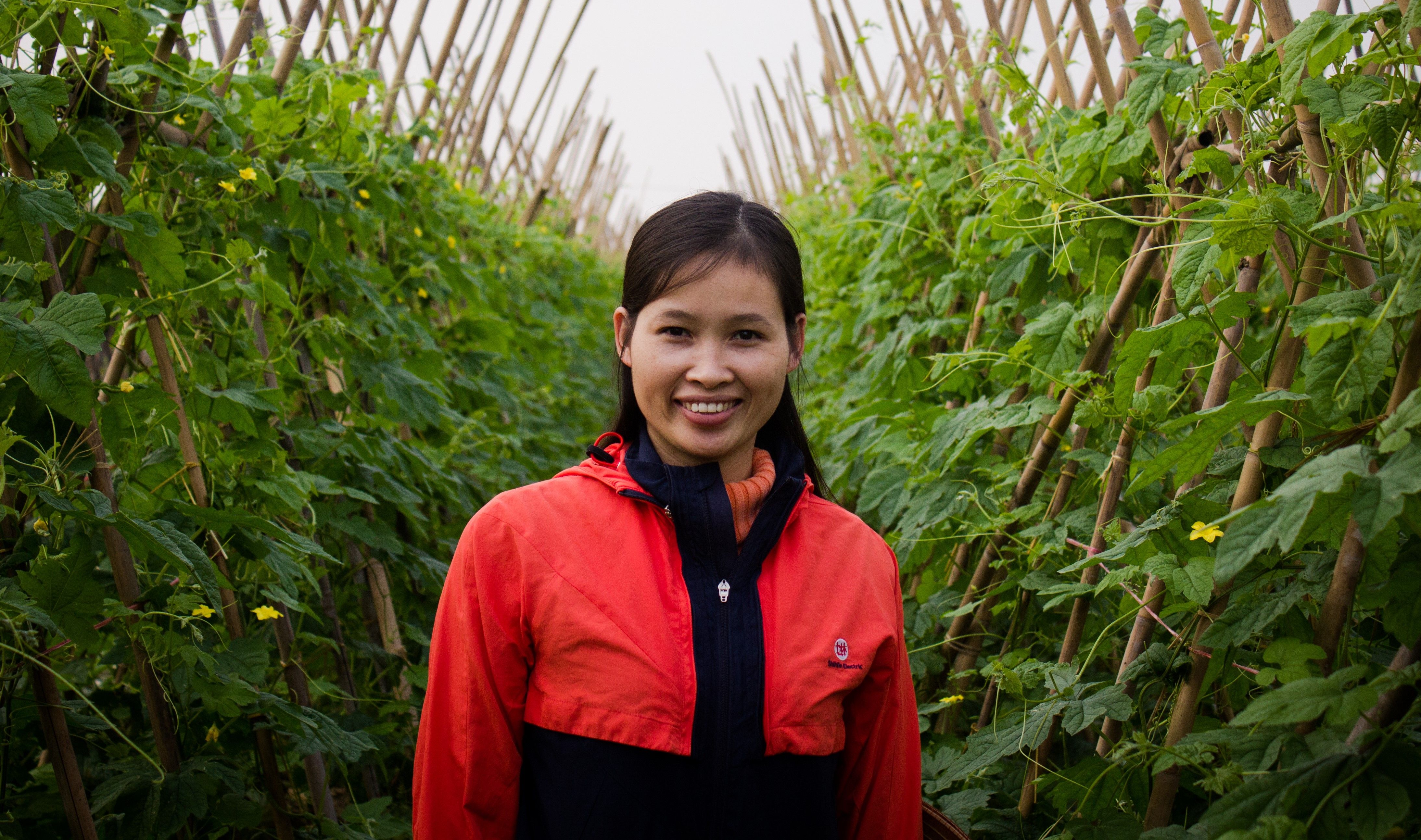 Farm Tour and Private Home Cooking Class with Local Family