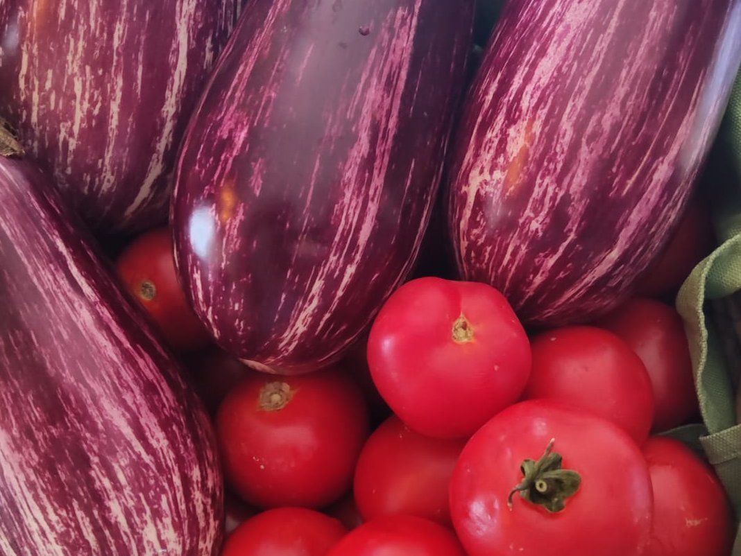 卡塔尼亞家庭烹飪實戰課：學習正宗西西里食譜