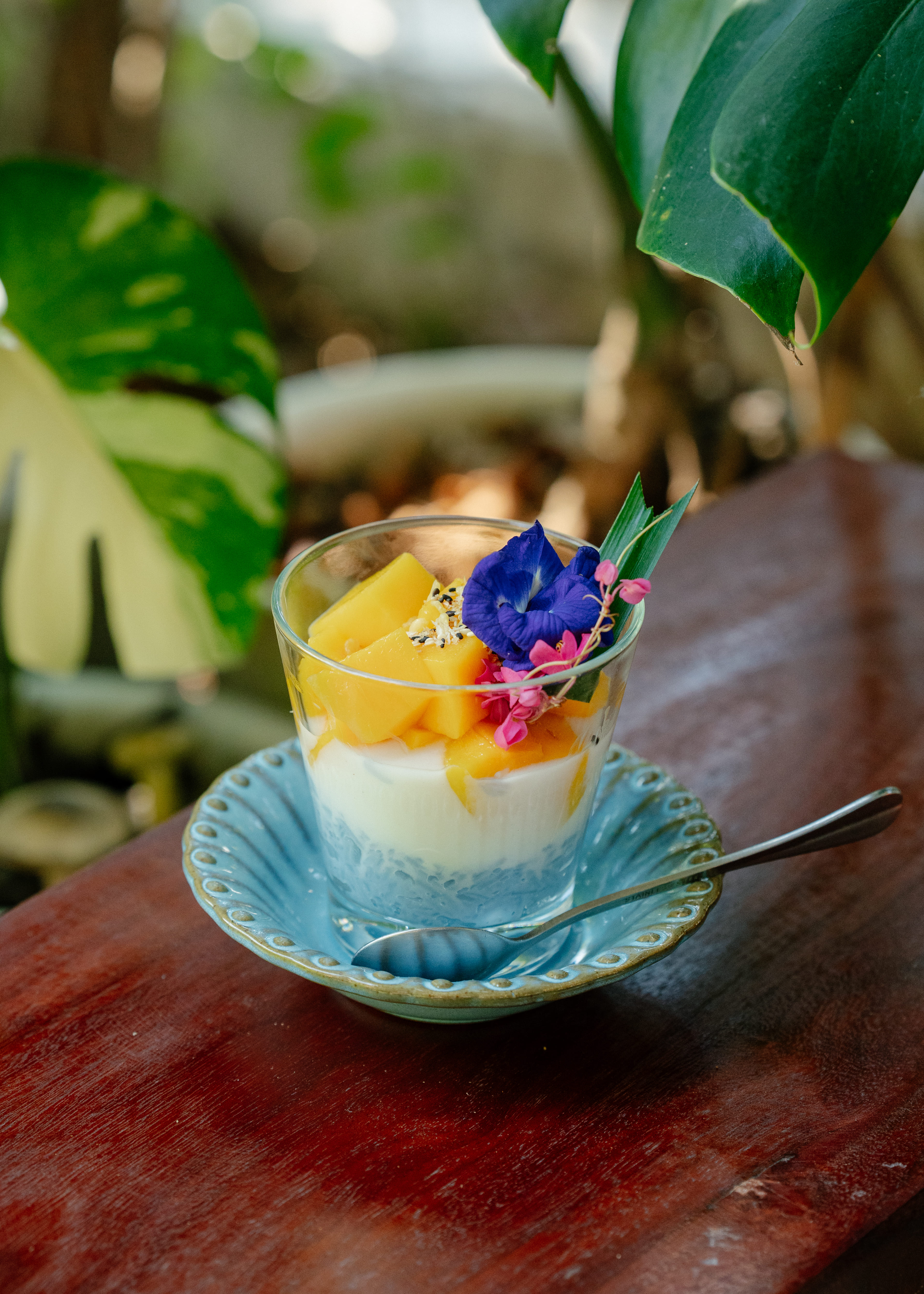 Personalized Northern Thai Cooking Experience at a Local Home in Chiang Mai
