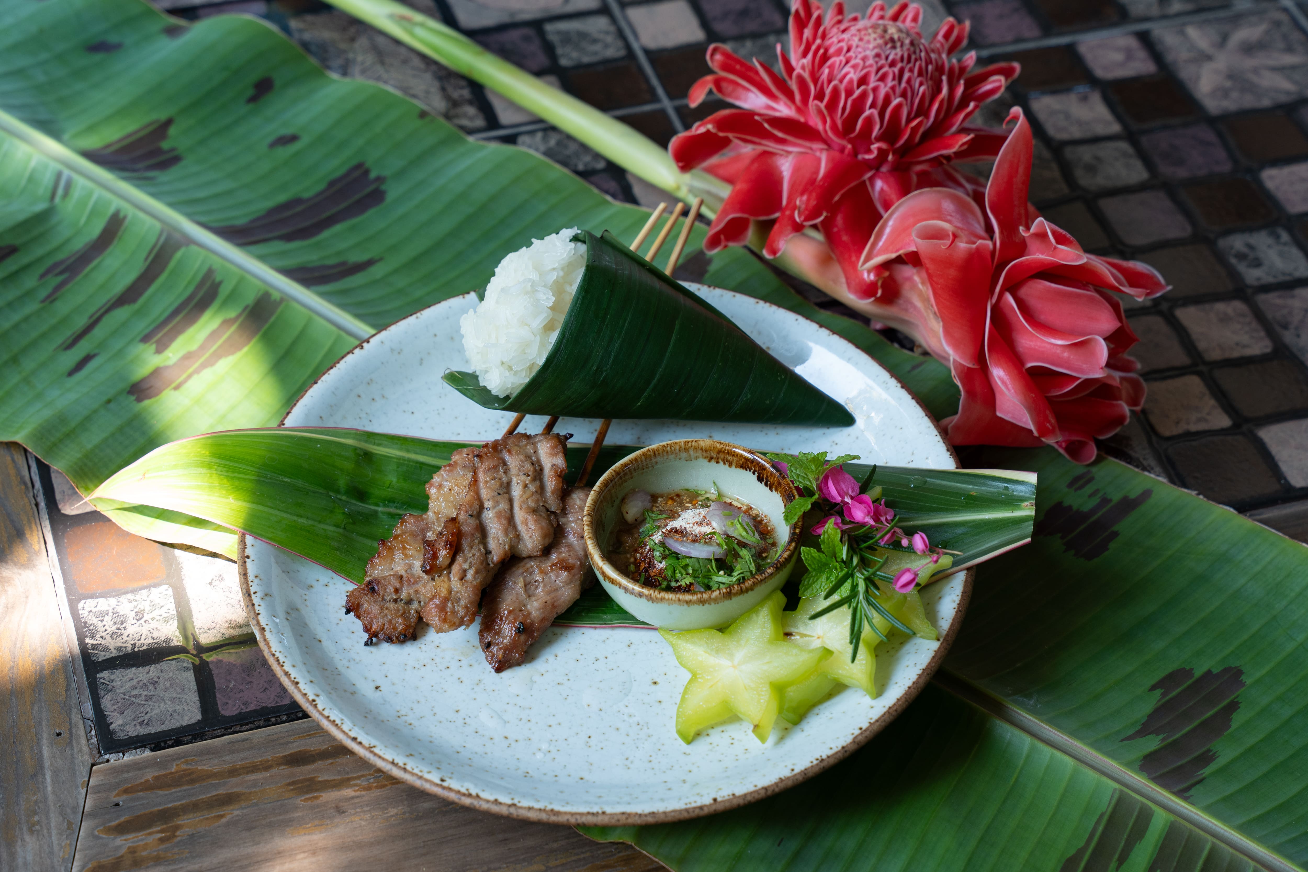 Personalized Northern Thai Cooking Experience at a Local Home in Chiang Mai