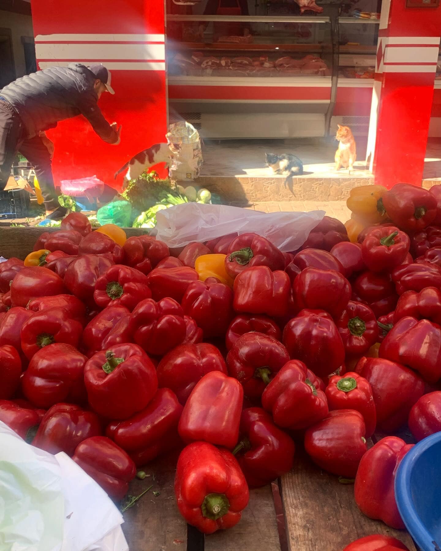 Market Tour and Moroccan Cooking Experience with Rababe Family