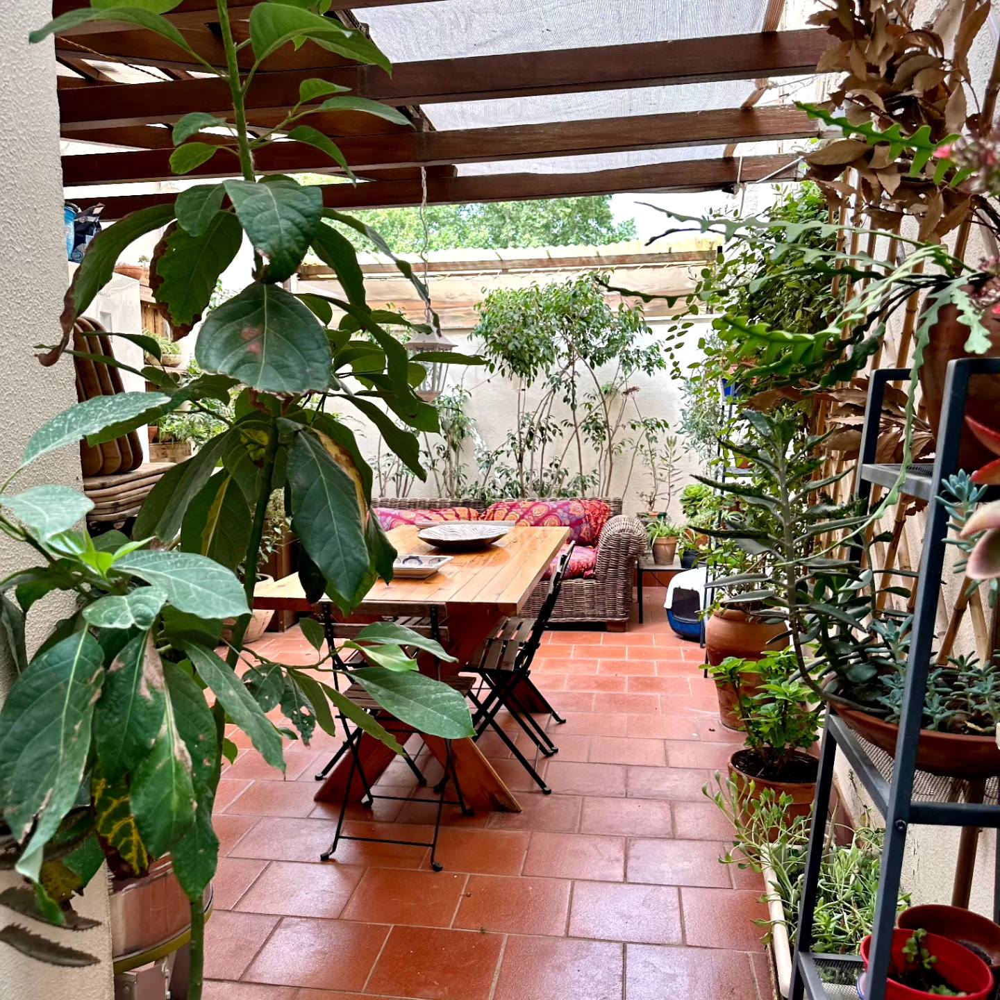 Market Tour Exploration with Sicilian Culinary Class in Palermo