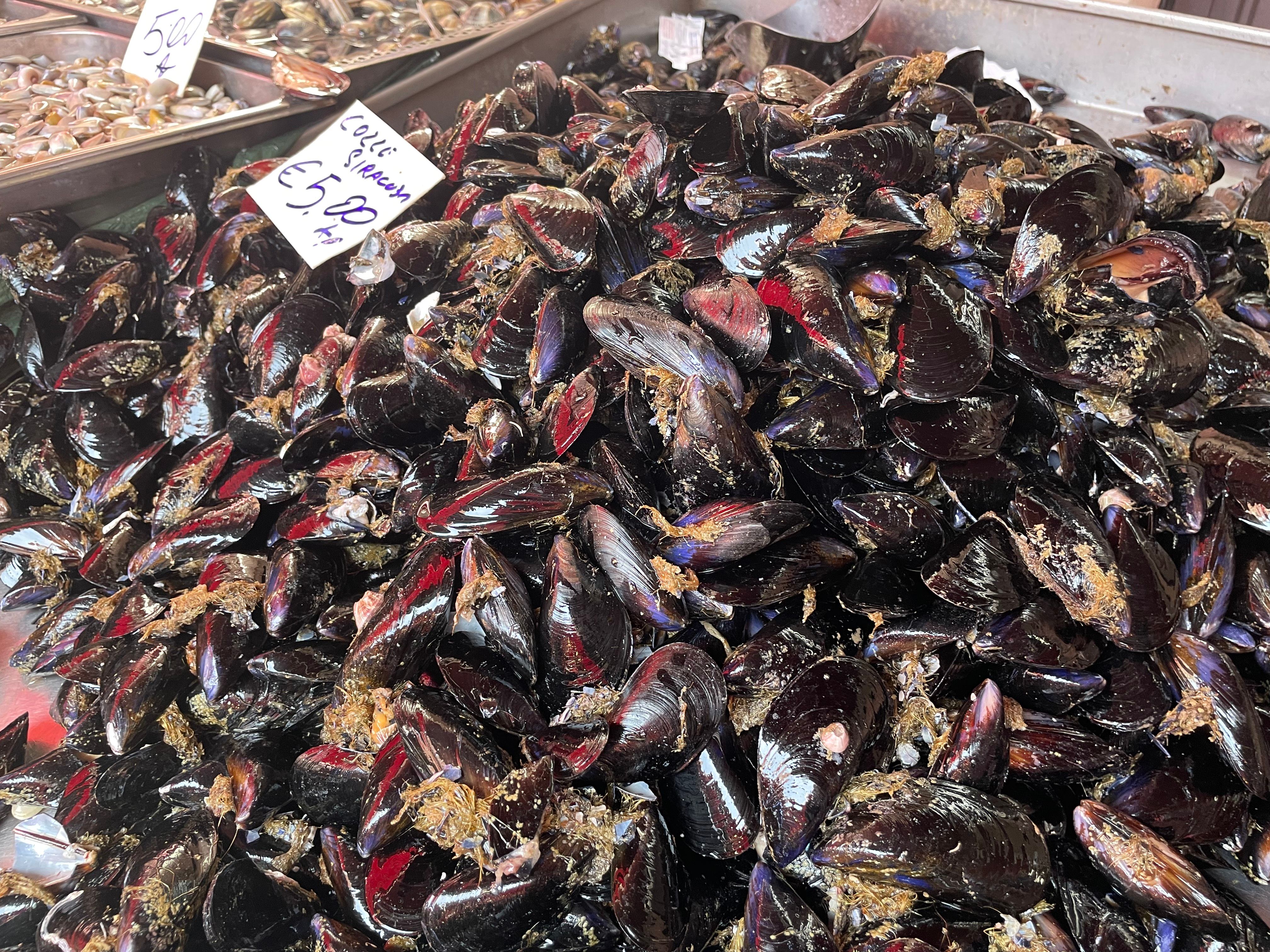 Join a Local for a Market Tour & Home Cooking Class in Catania