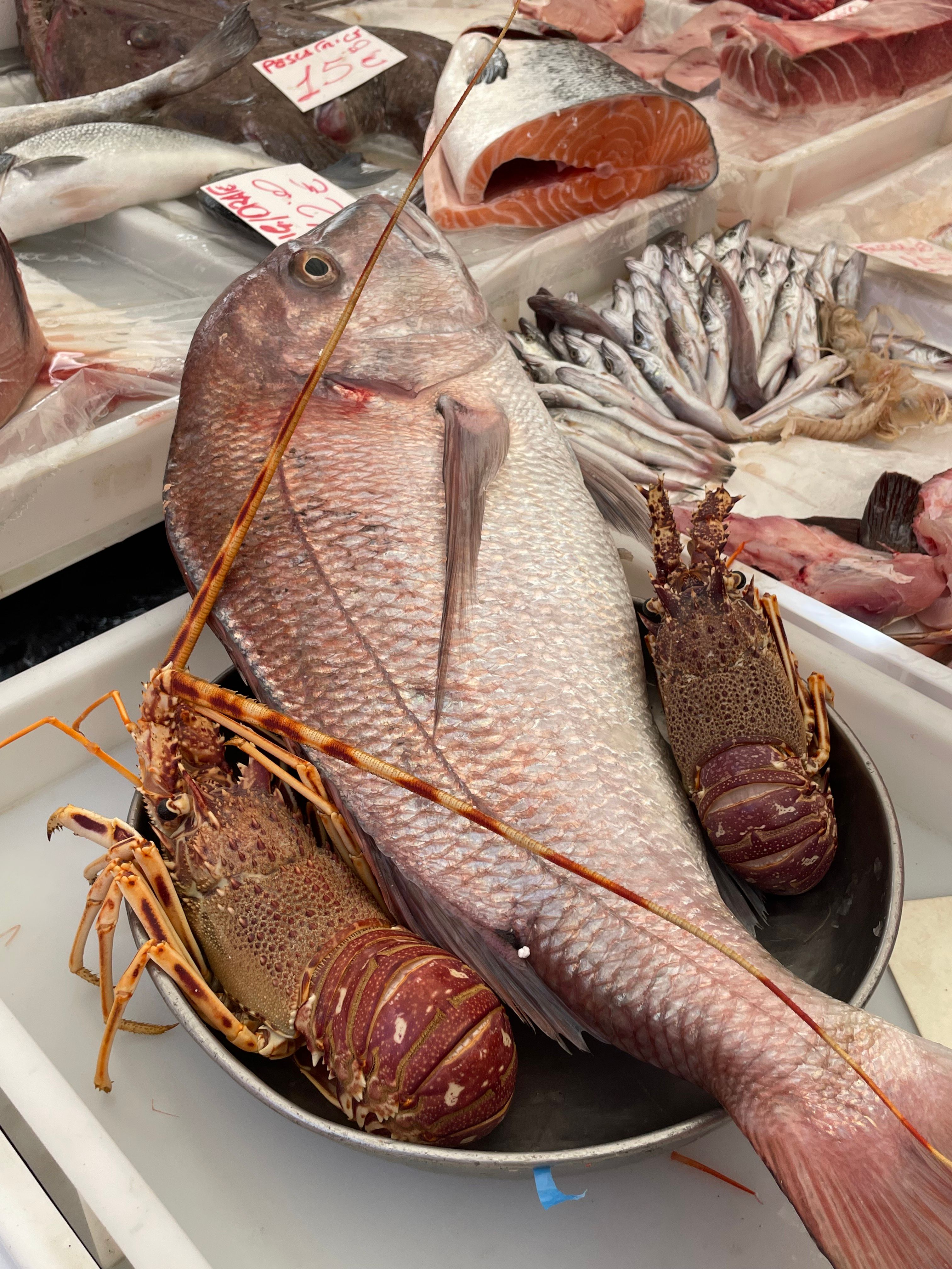Join a Local for a Market Tour & Home Cooking Class in Catania