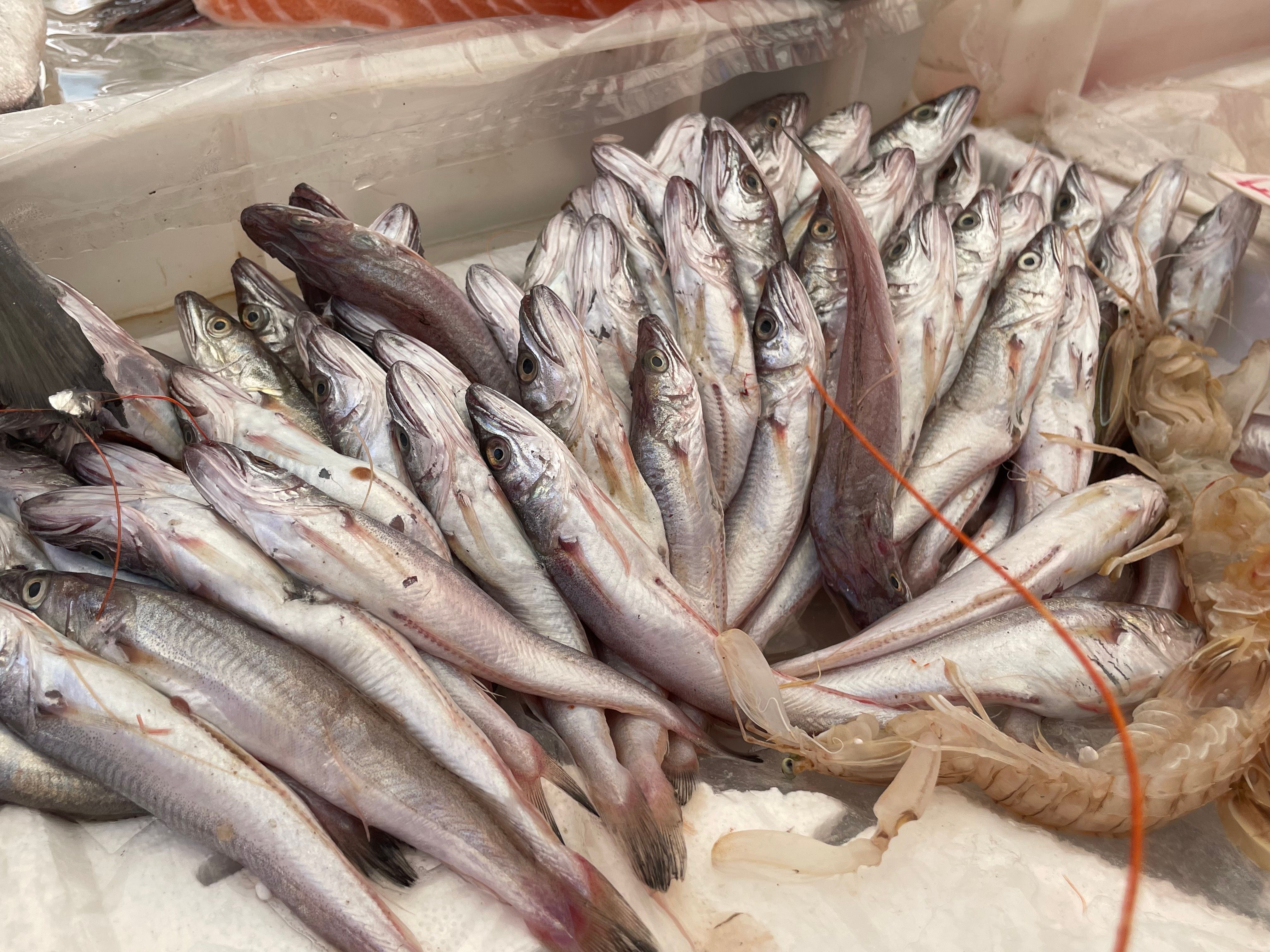 Join a Local for a Market Tour & Home Cooking Class in Catania