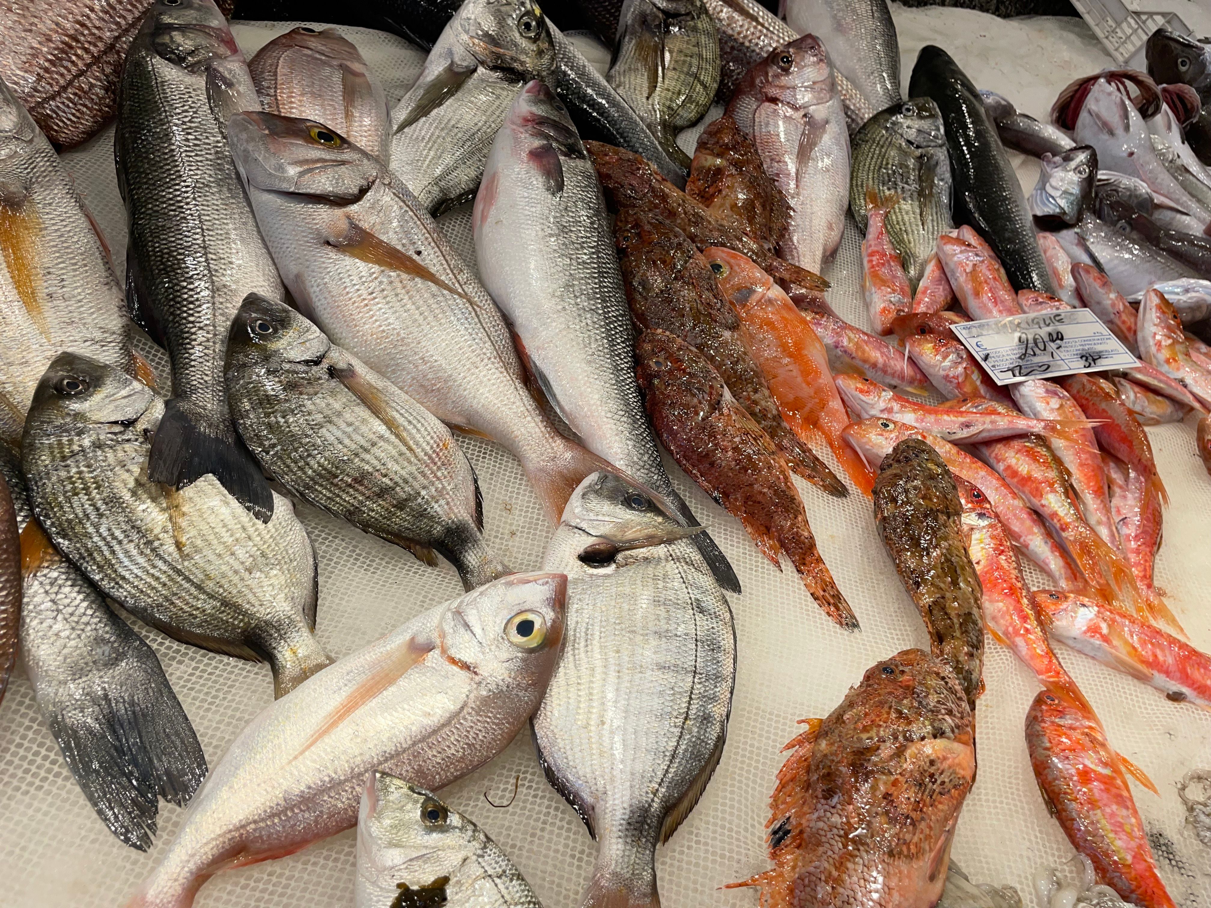 Join a Local for a Market Tour & Home Cooking Class in Catania