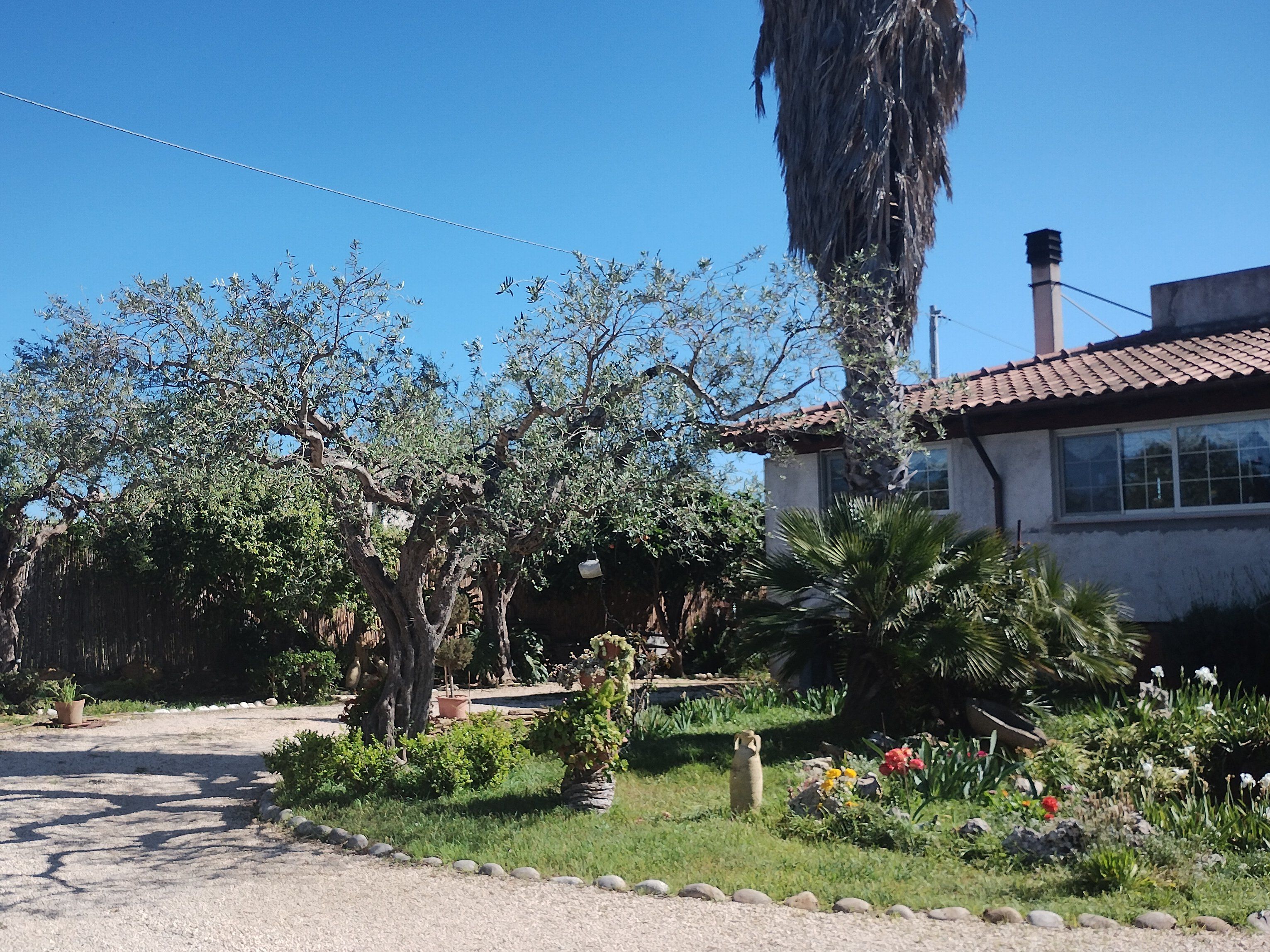 Traditional Fresh Pasta Cooking Masterclass in Sciacca