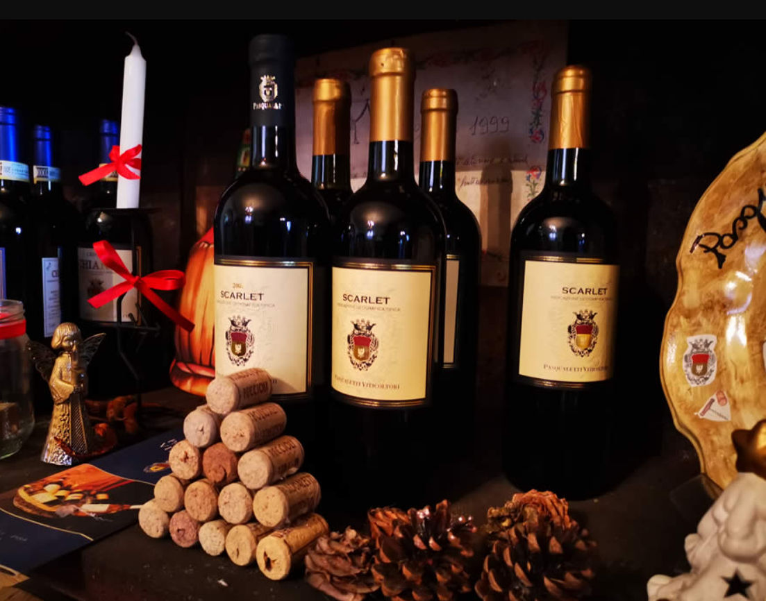 Master Tuscan Wine Experience: From Vineyard Walk to Guided Tasting