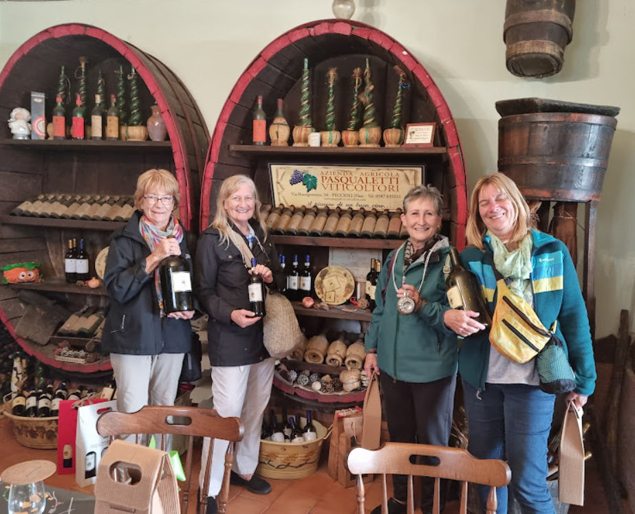 Master Tuscan Wine Experience: From Vineyard Walk to Guided Tasting